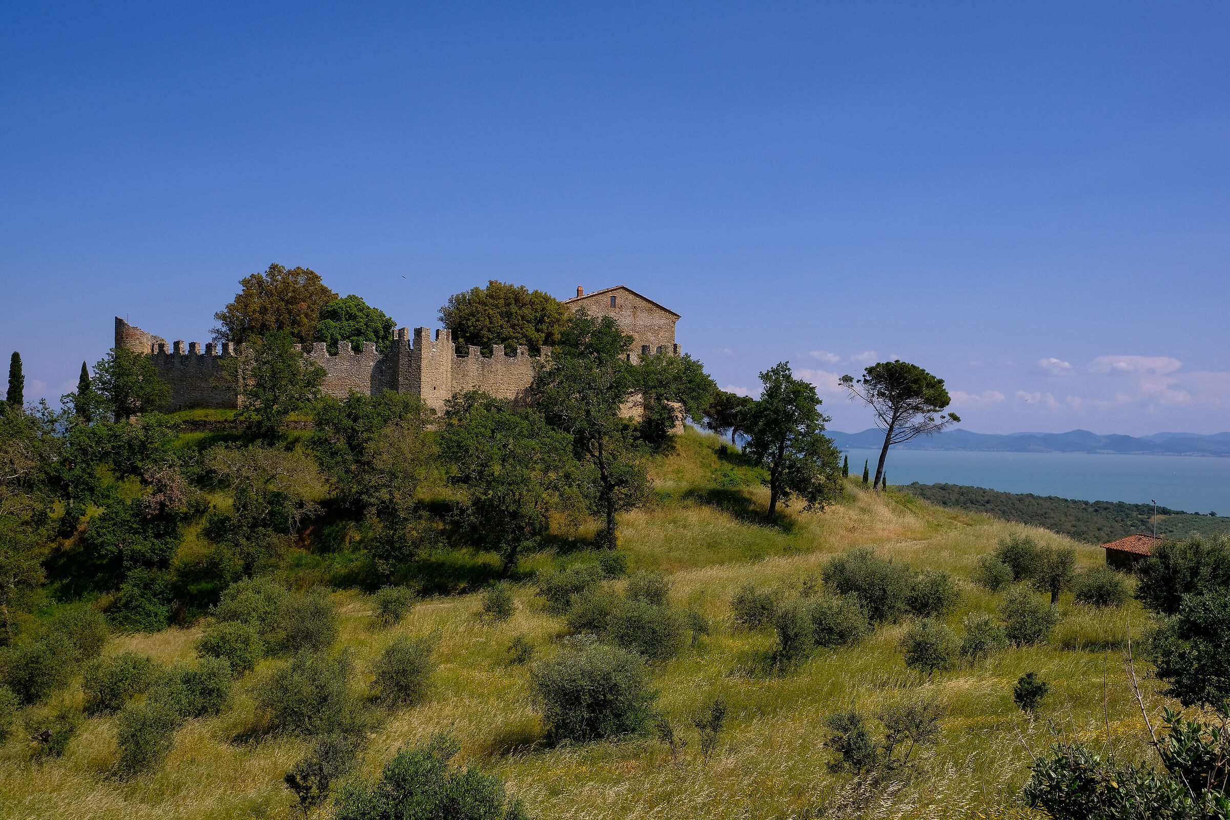 Castle of Montegualandro...
