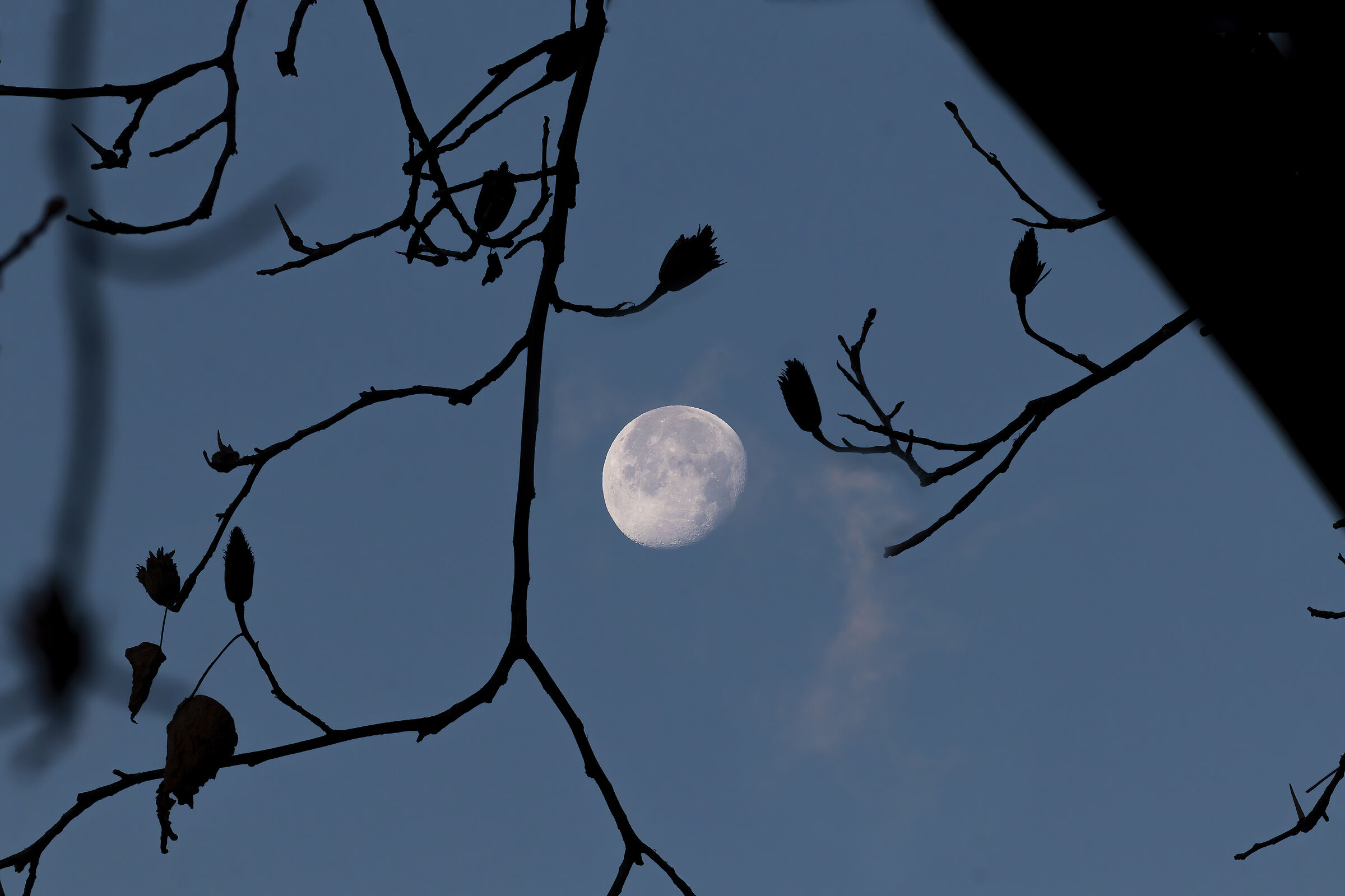 Lunar sky...