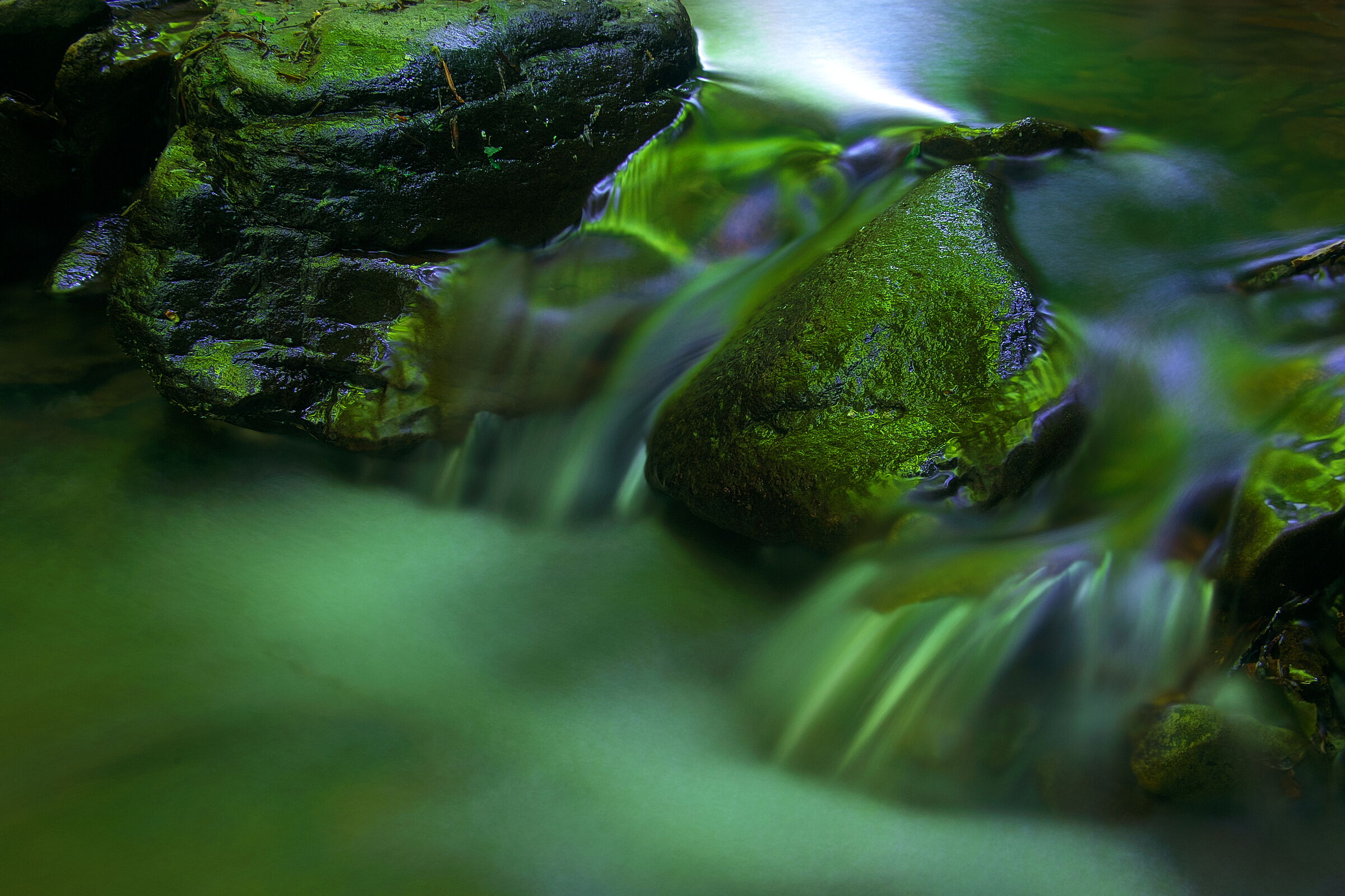 Emerald creek...
