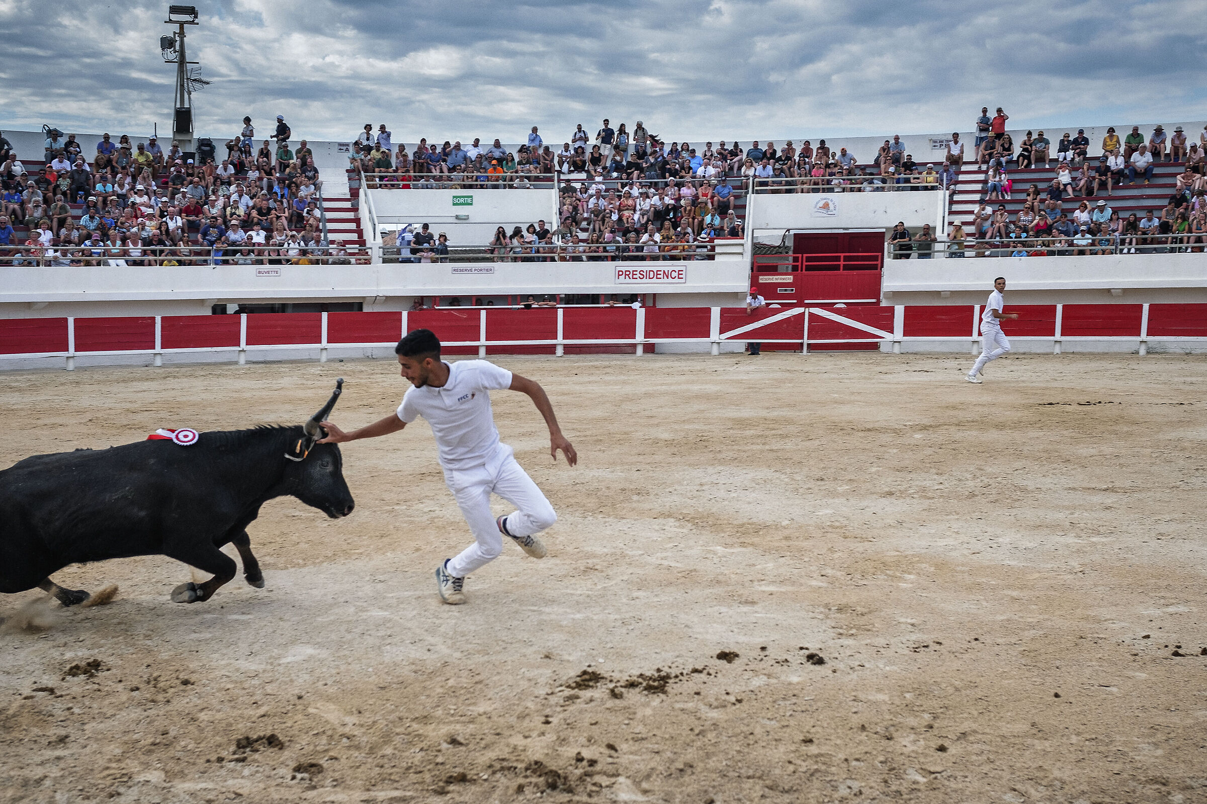 Camargue bullfighting...