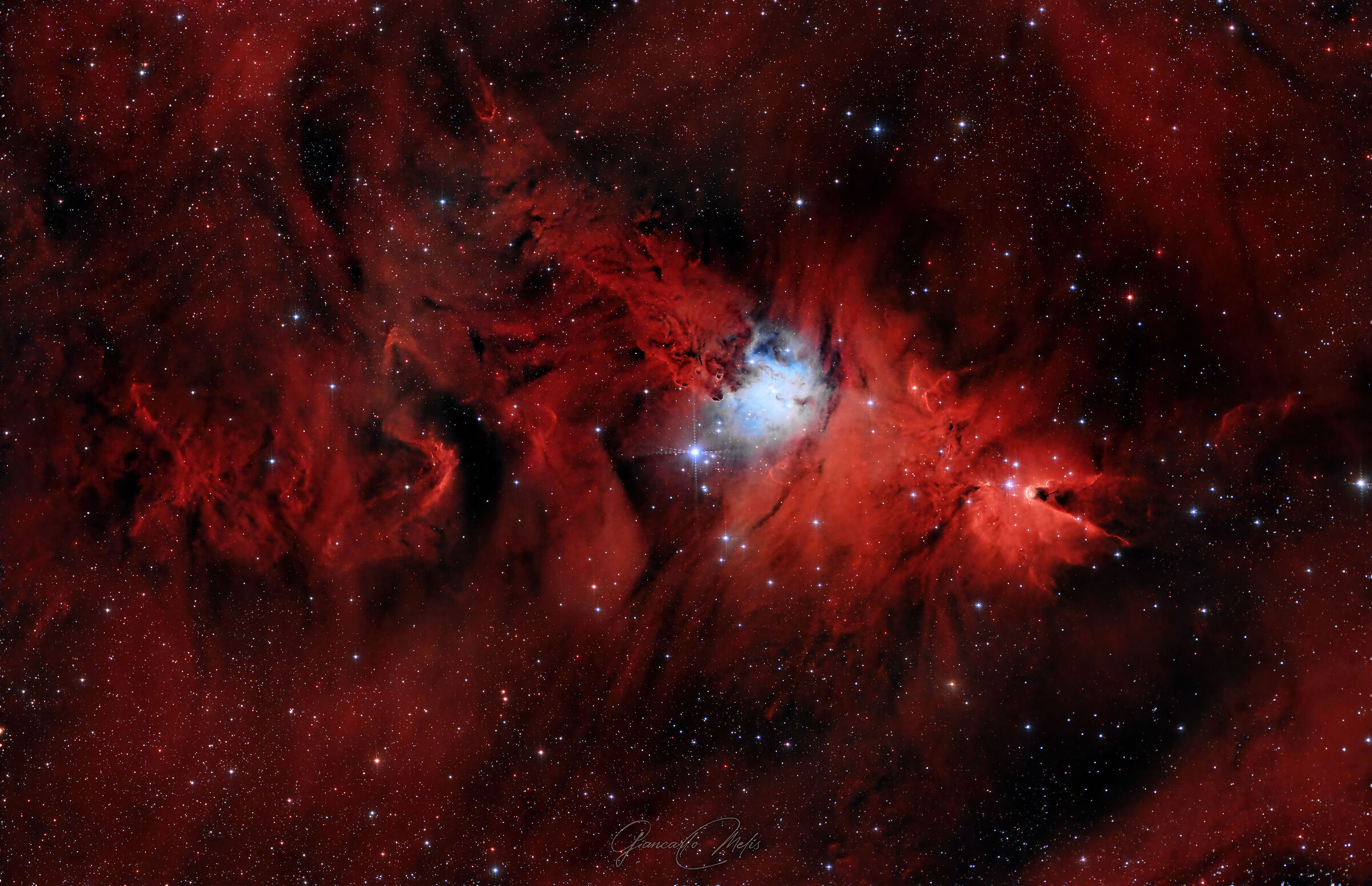 NGC2264...
