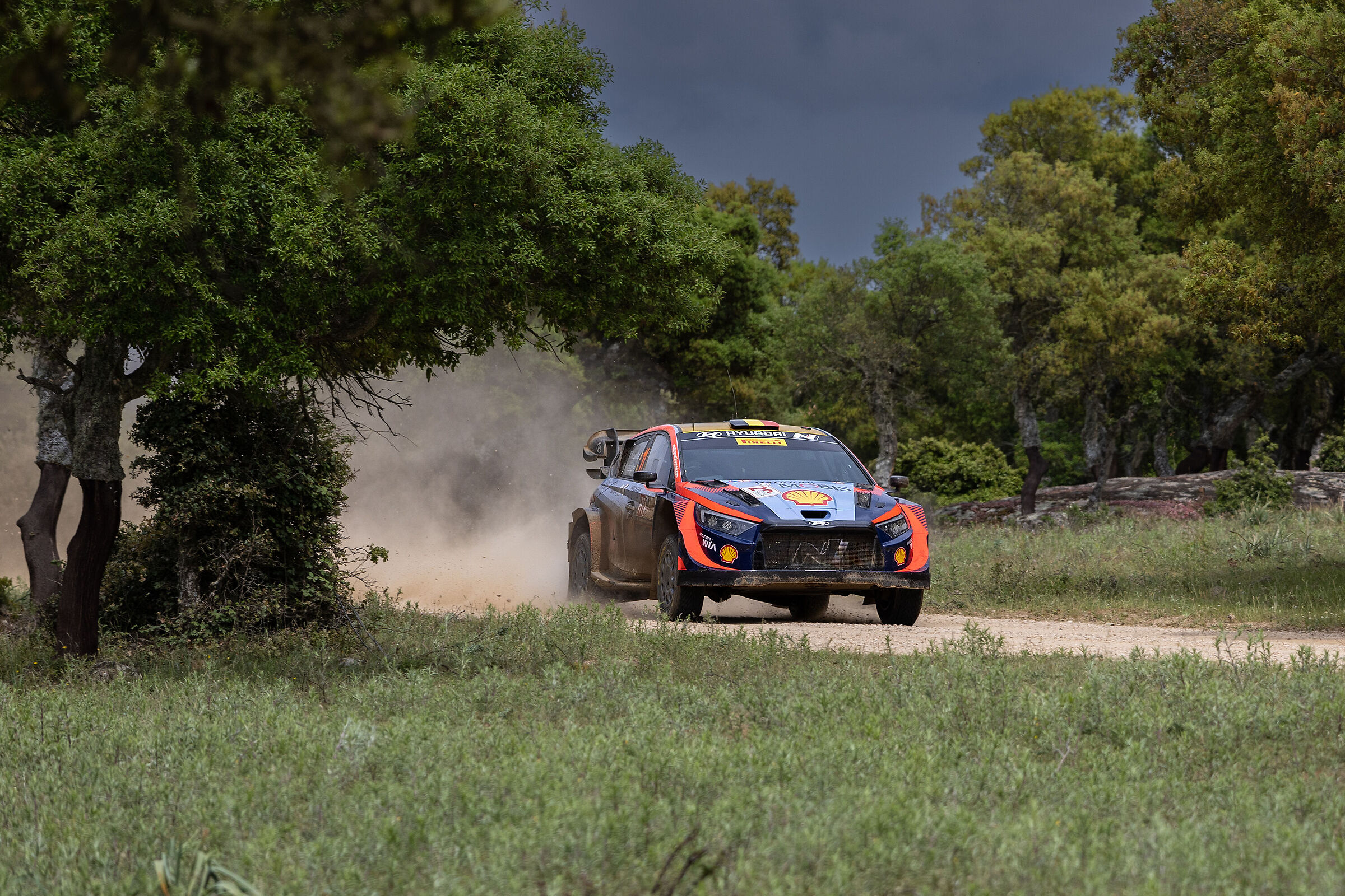 The i20 of Thierry Neuville and Martijn Wydaeghe ...