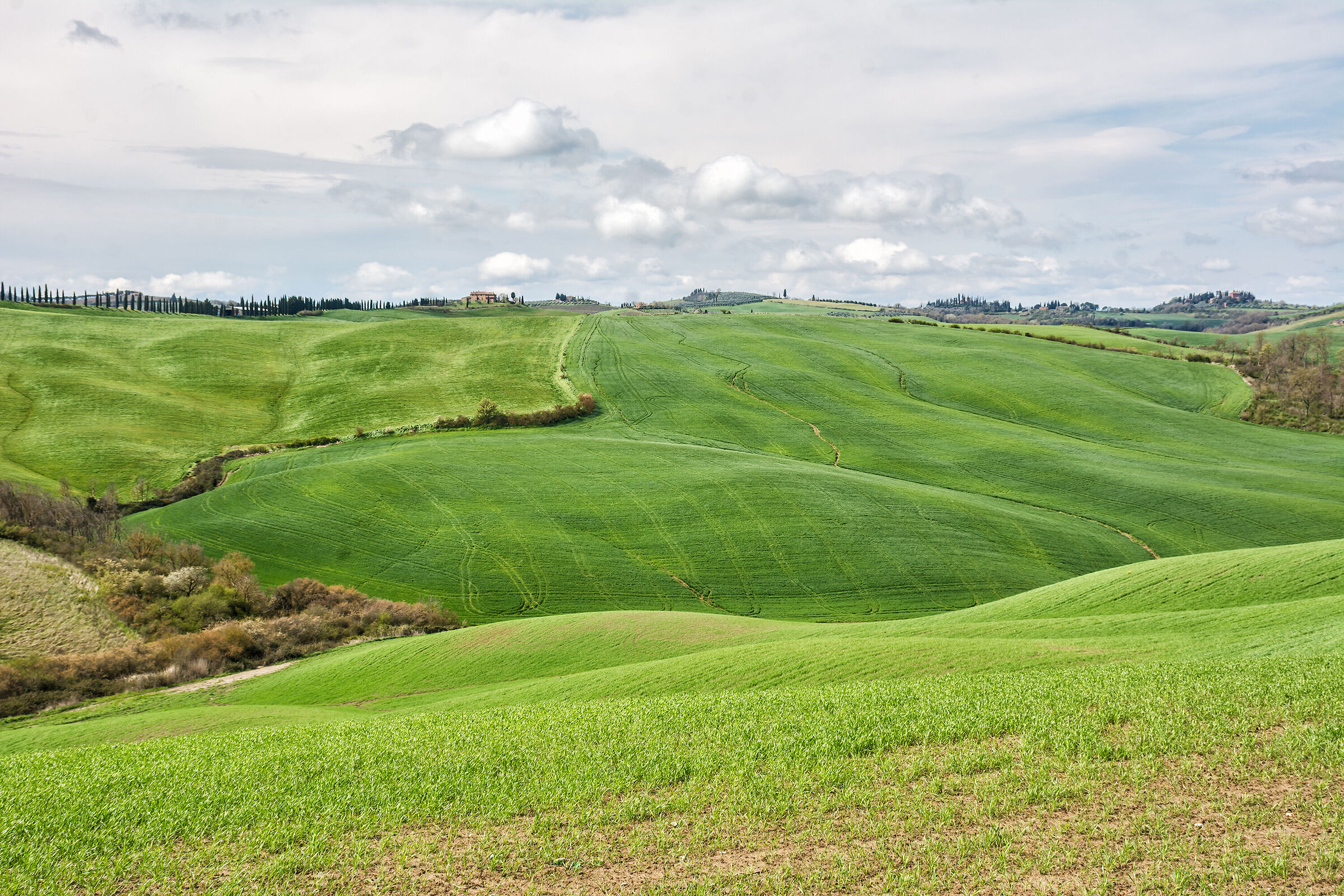 Sinuous Val d'Orcia...