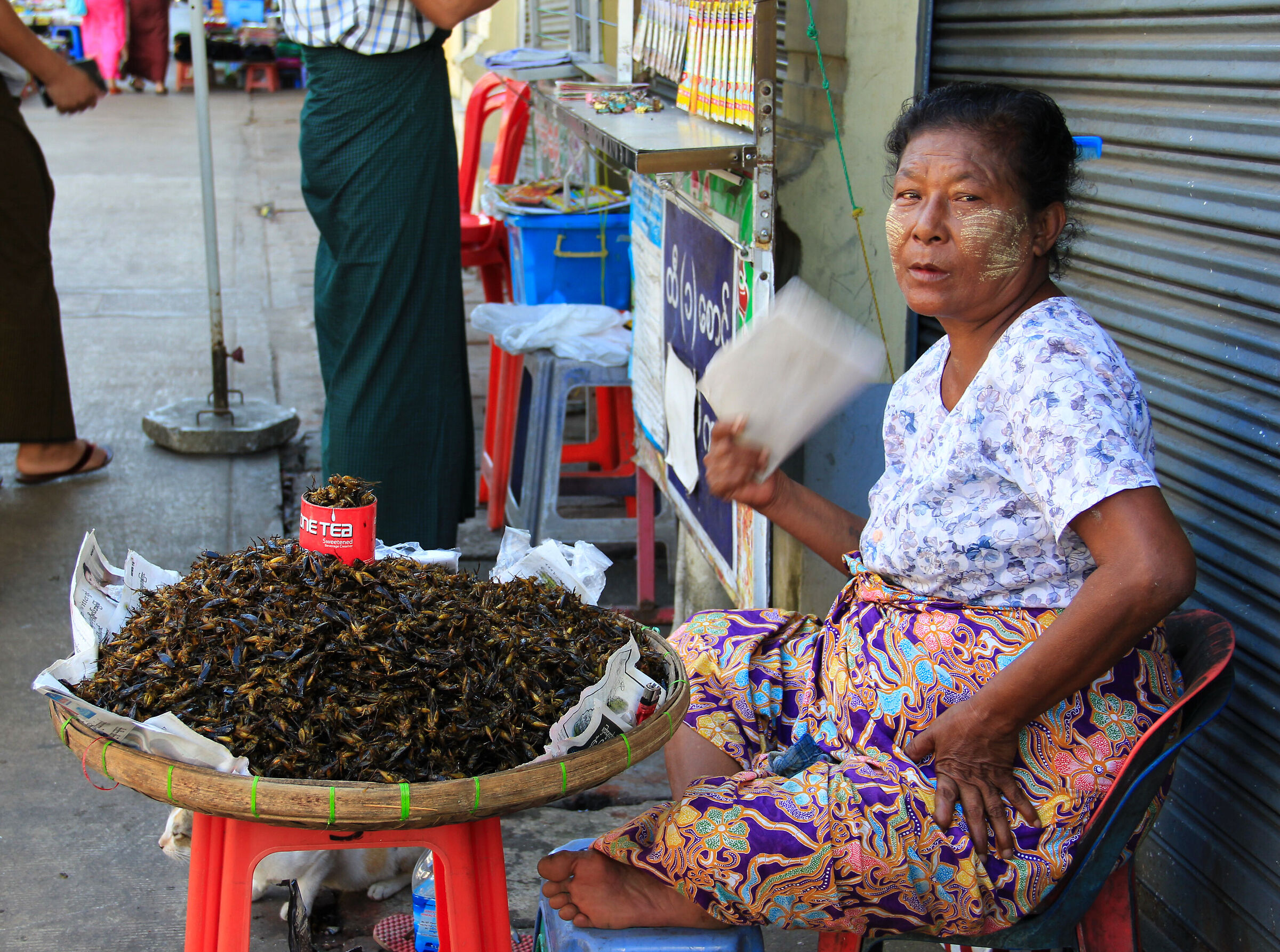 seller of roasted crickets...