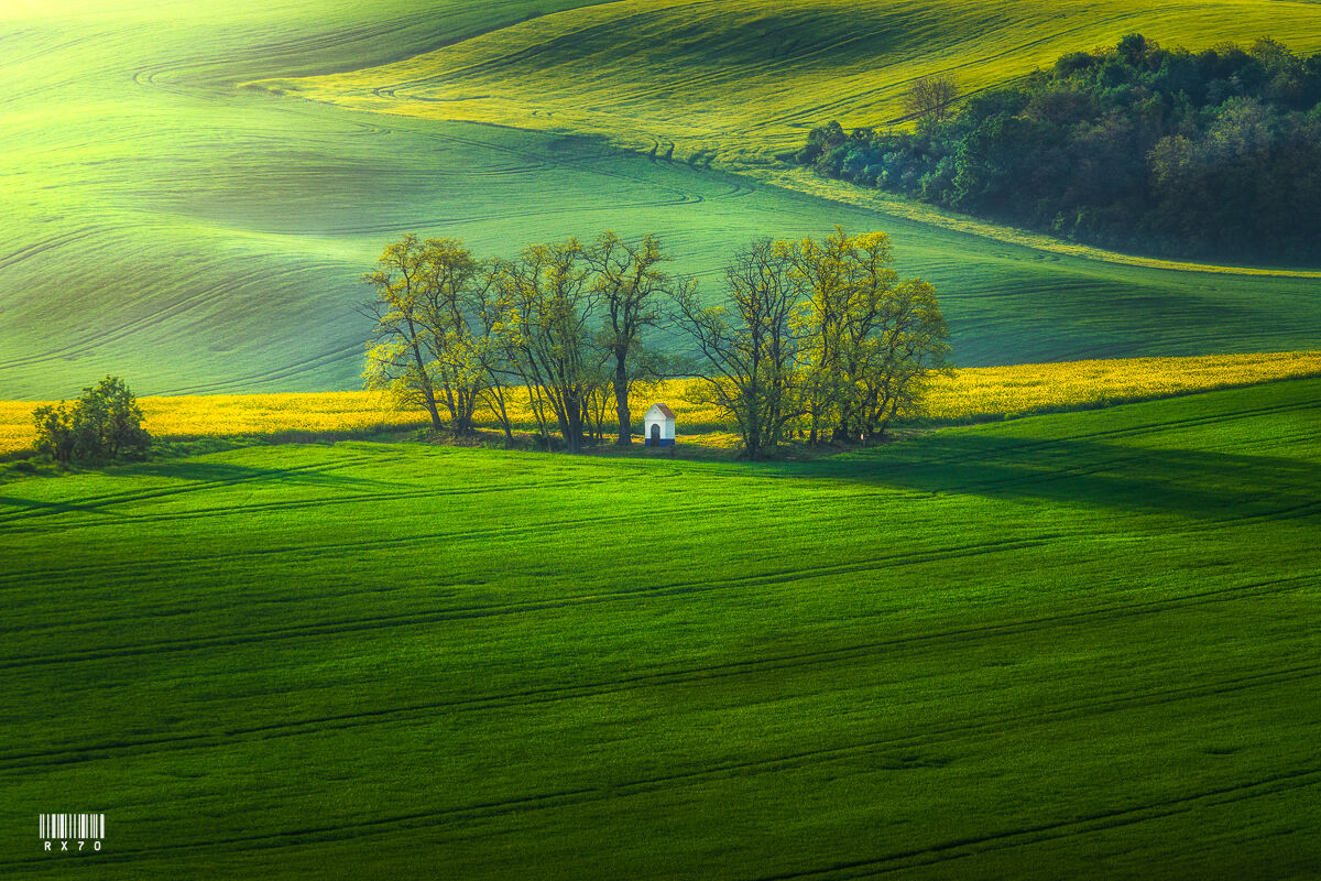 Moravia...