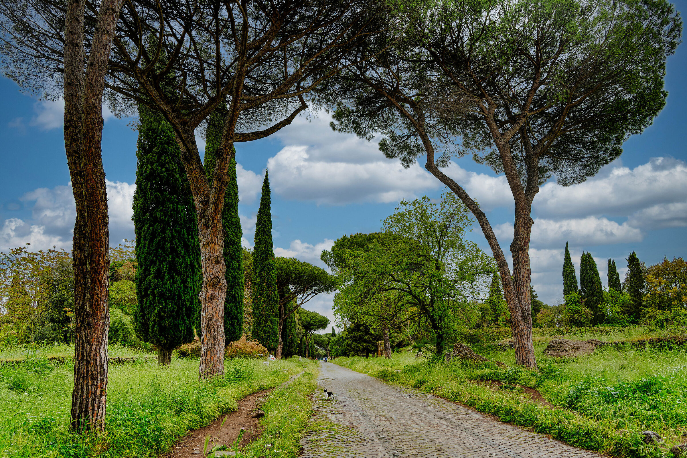 The Appian Way in Rome: find the cat...