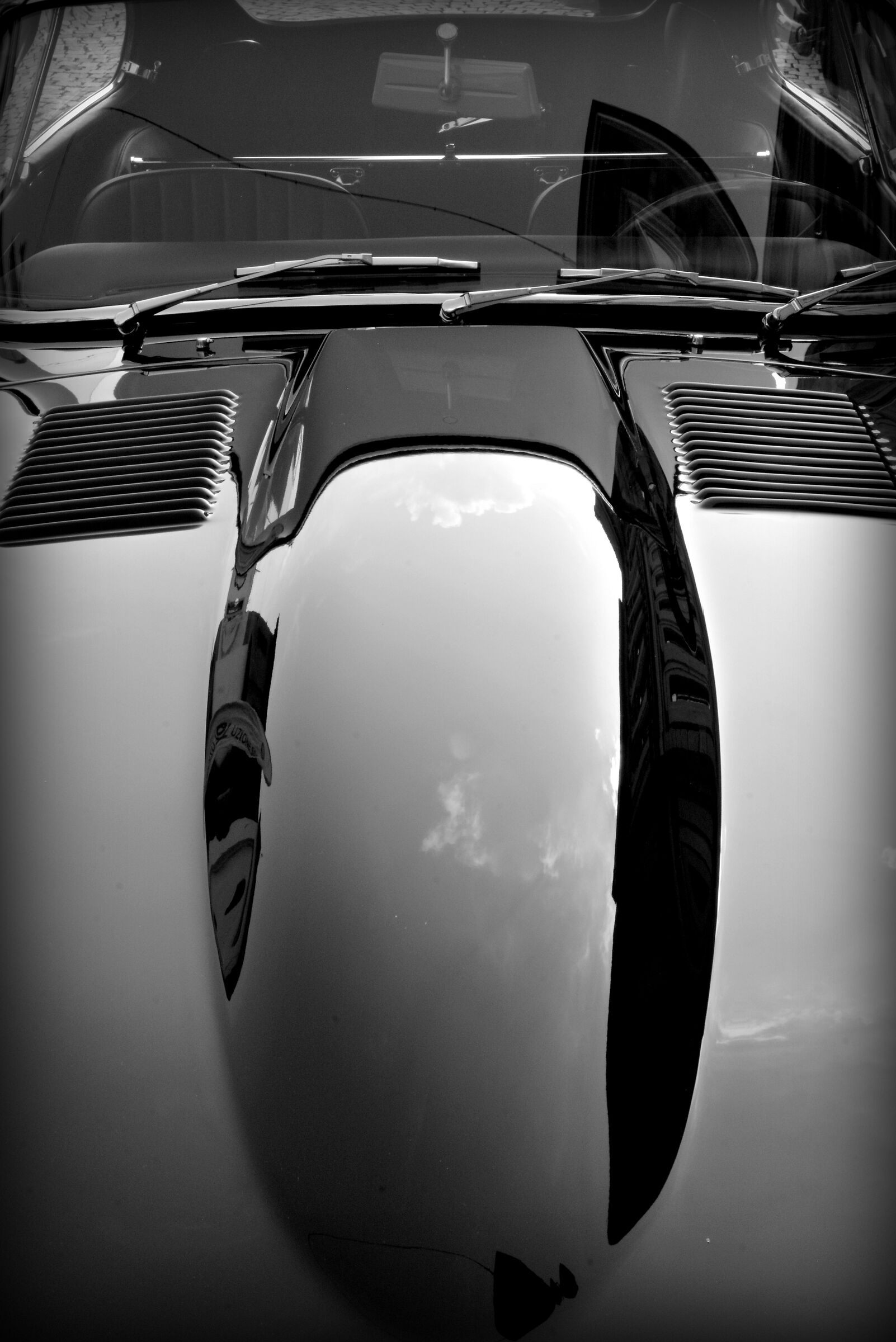Reflections of a Jaguar...