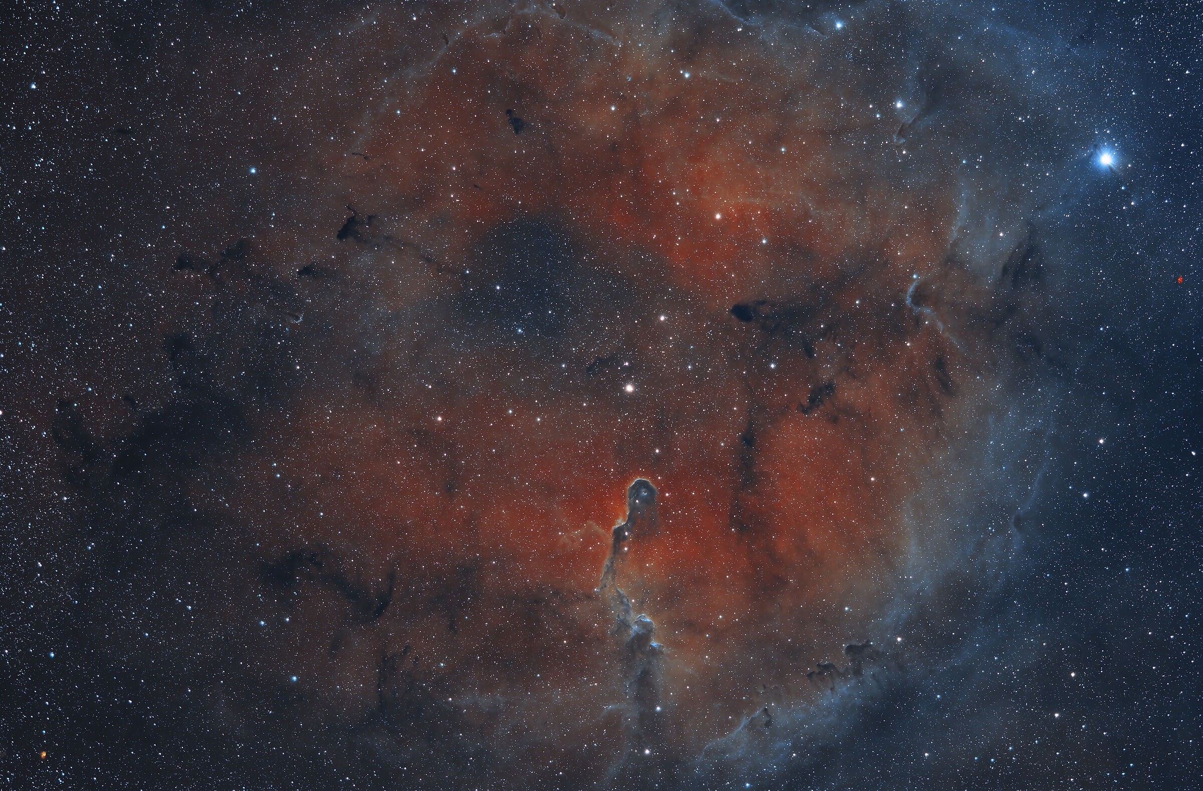 Elephant Trunk Nebula (New Palette)...