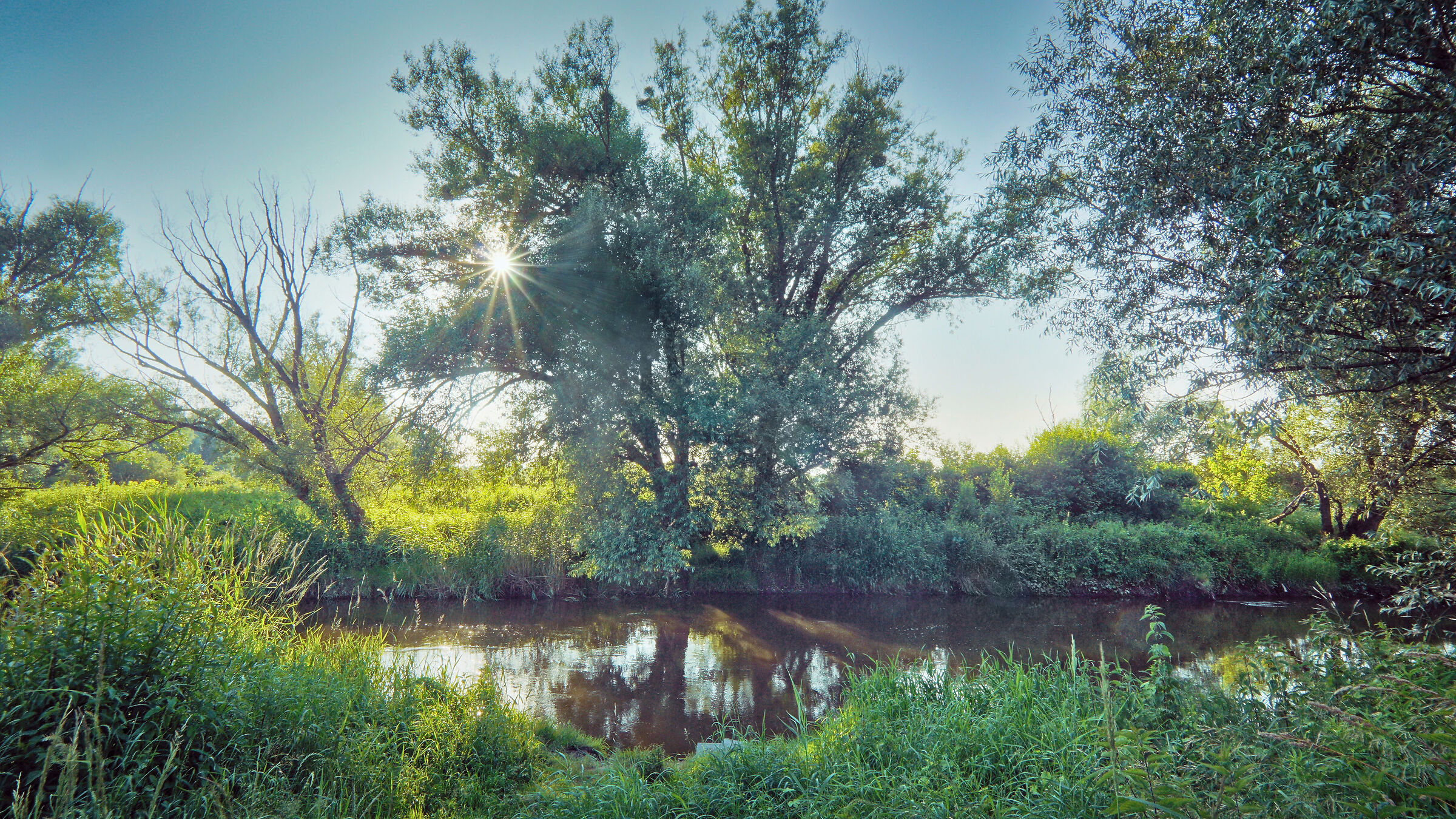 River Wieprz near Krasnystaw...