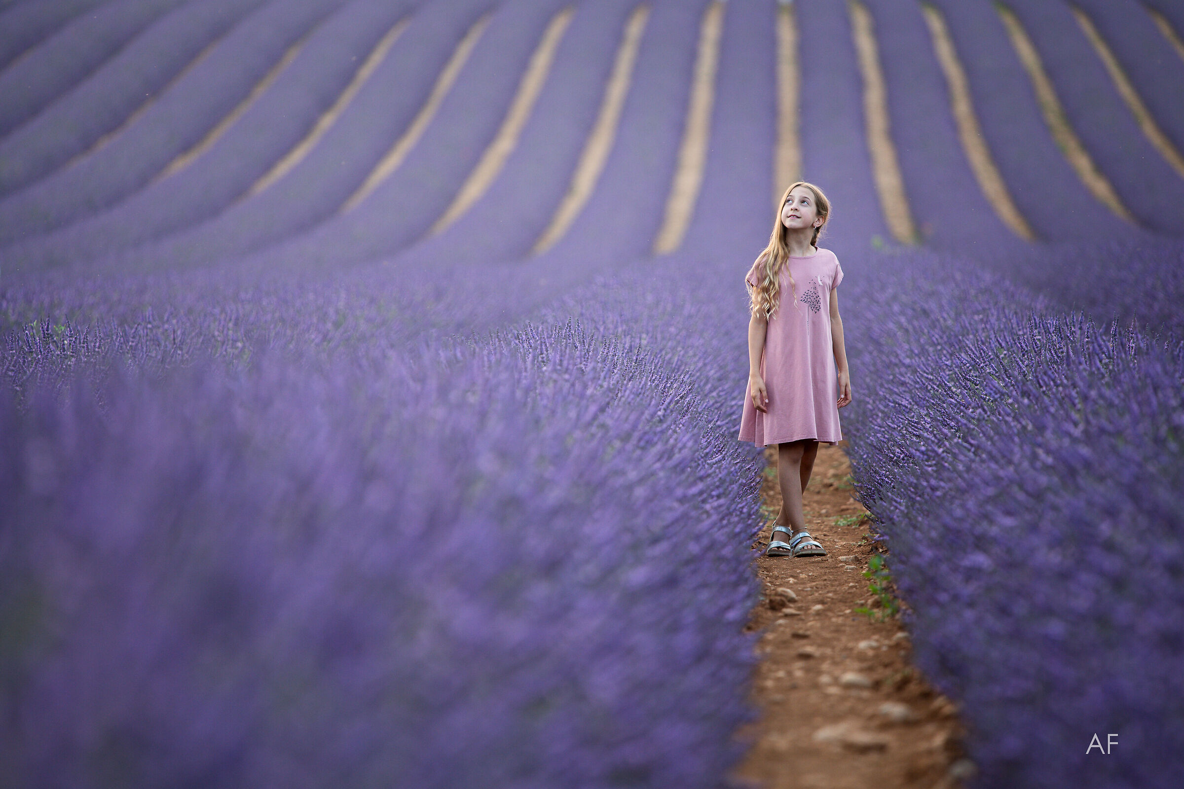The Scent of Provence...