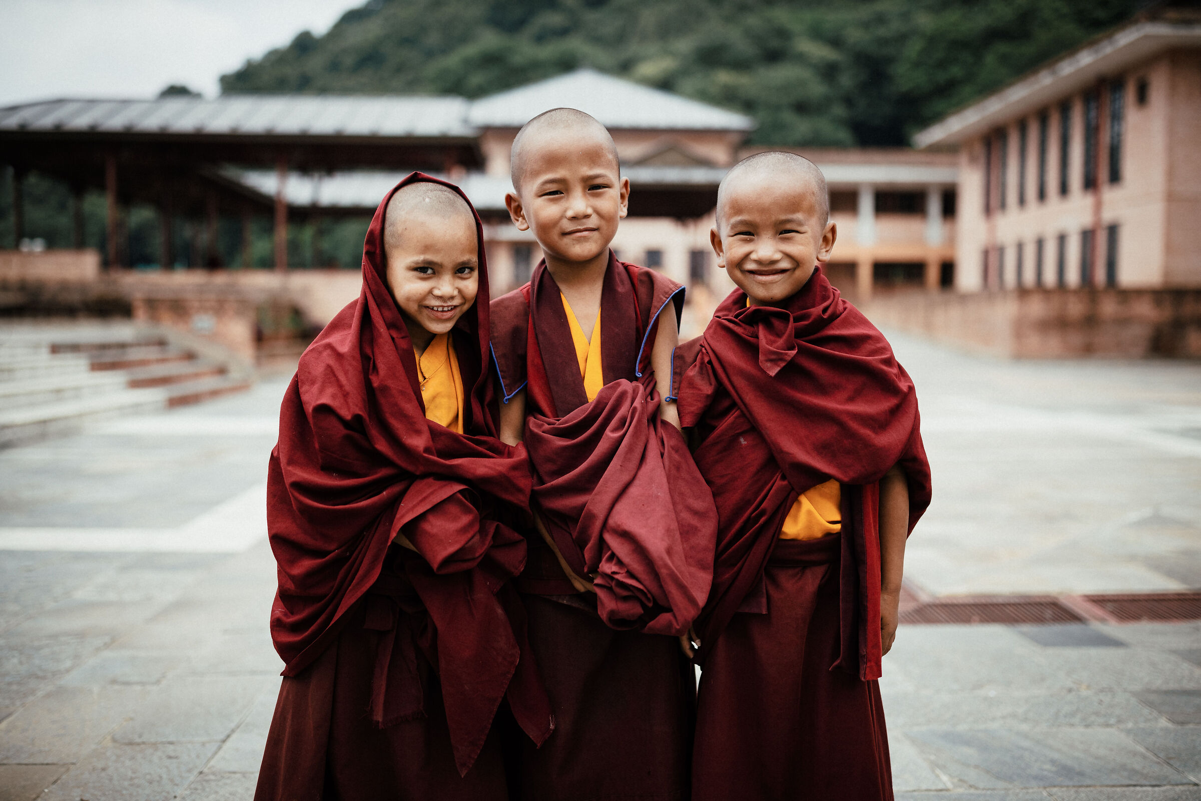 Young monks...