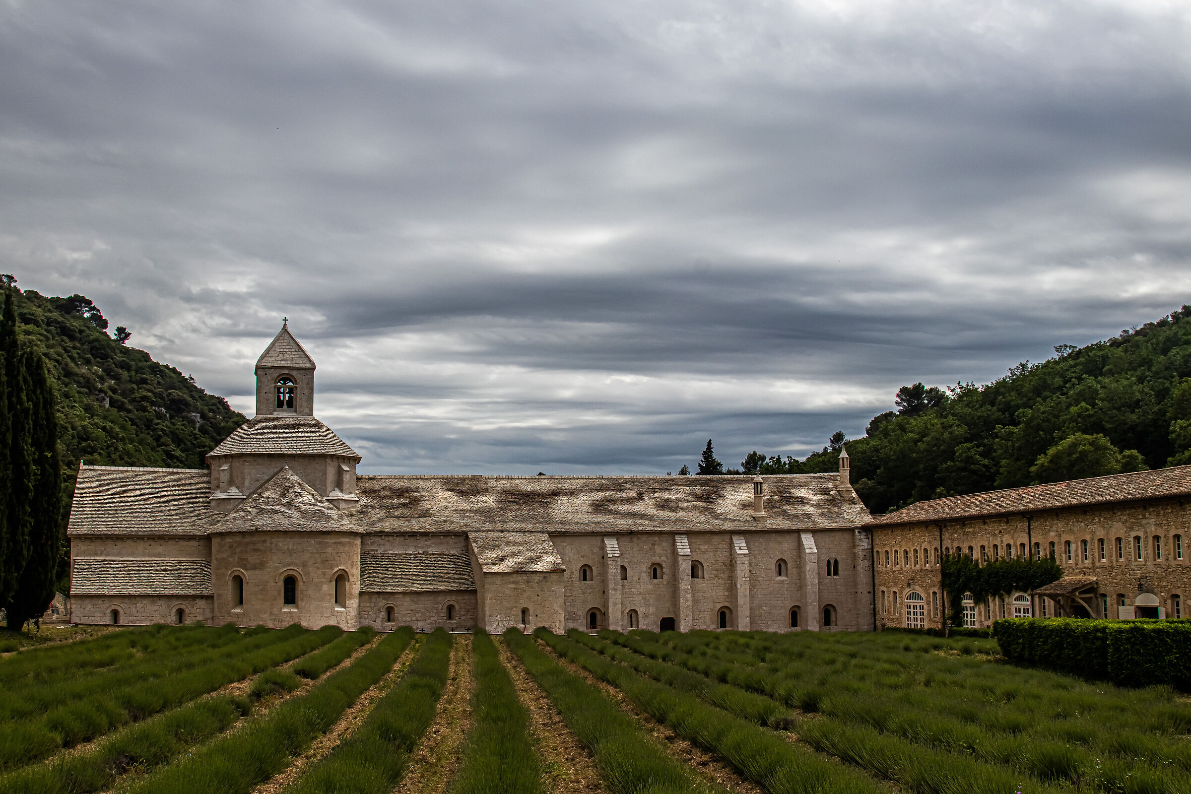 Abbaye de Senanque ...