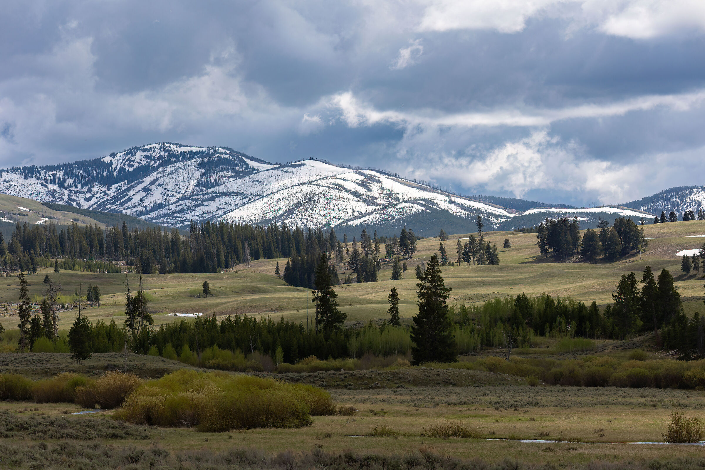 Uno dei mille panorami di Yellowstone...