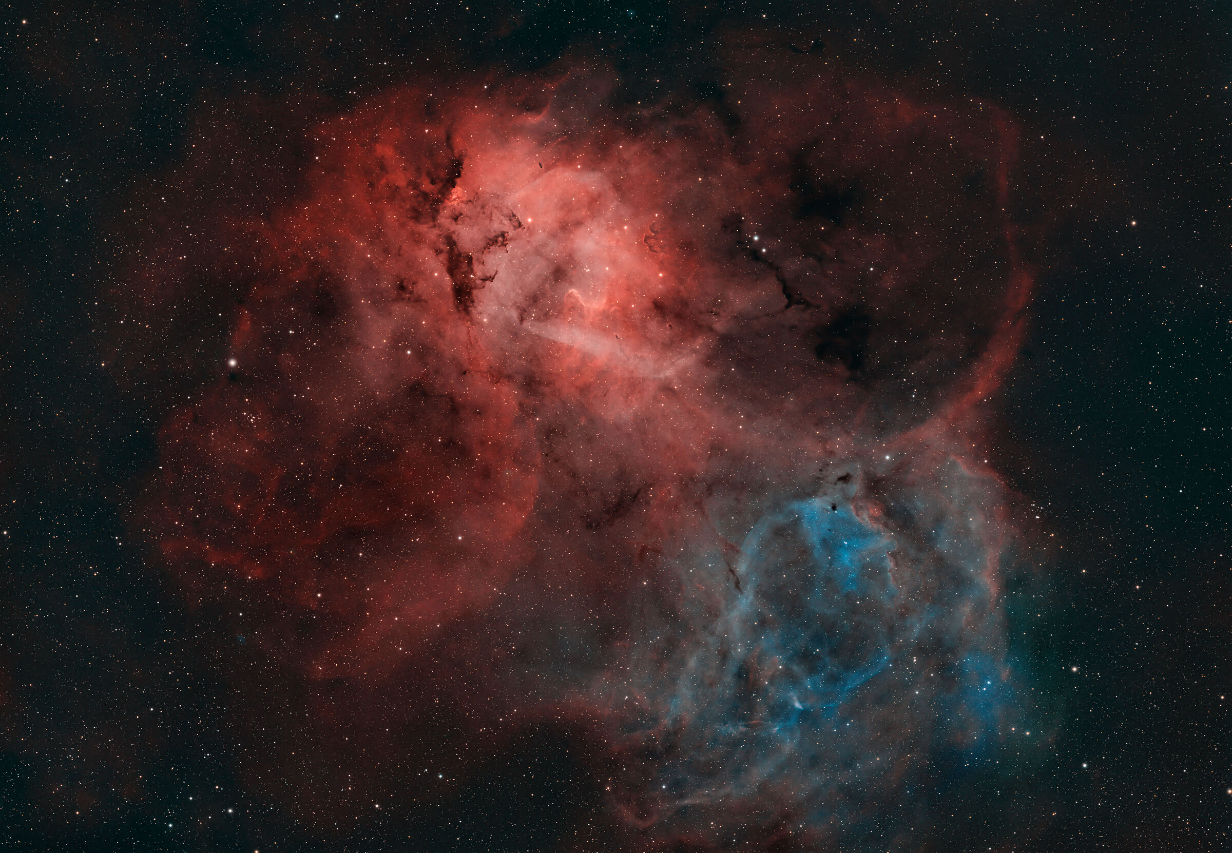 Space Lion (sh2-132) lion nebula...
