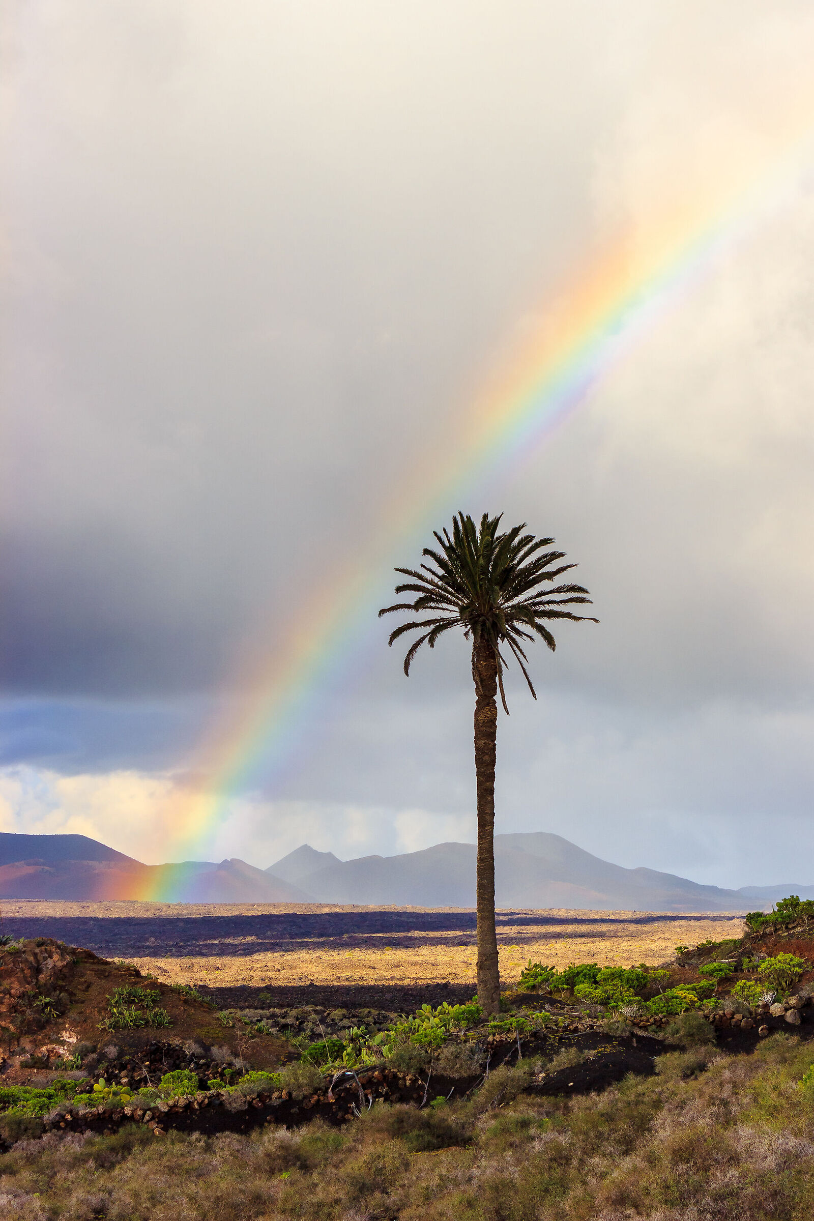Canarian rainbow....