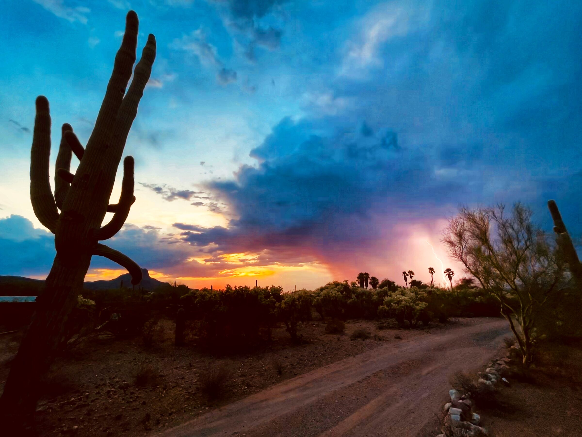 Sunset in Tucson...