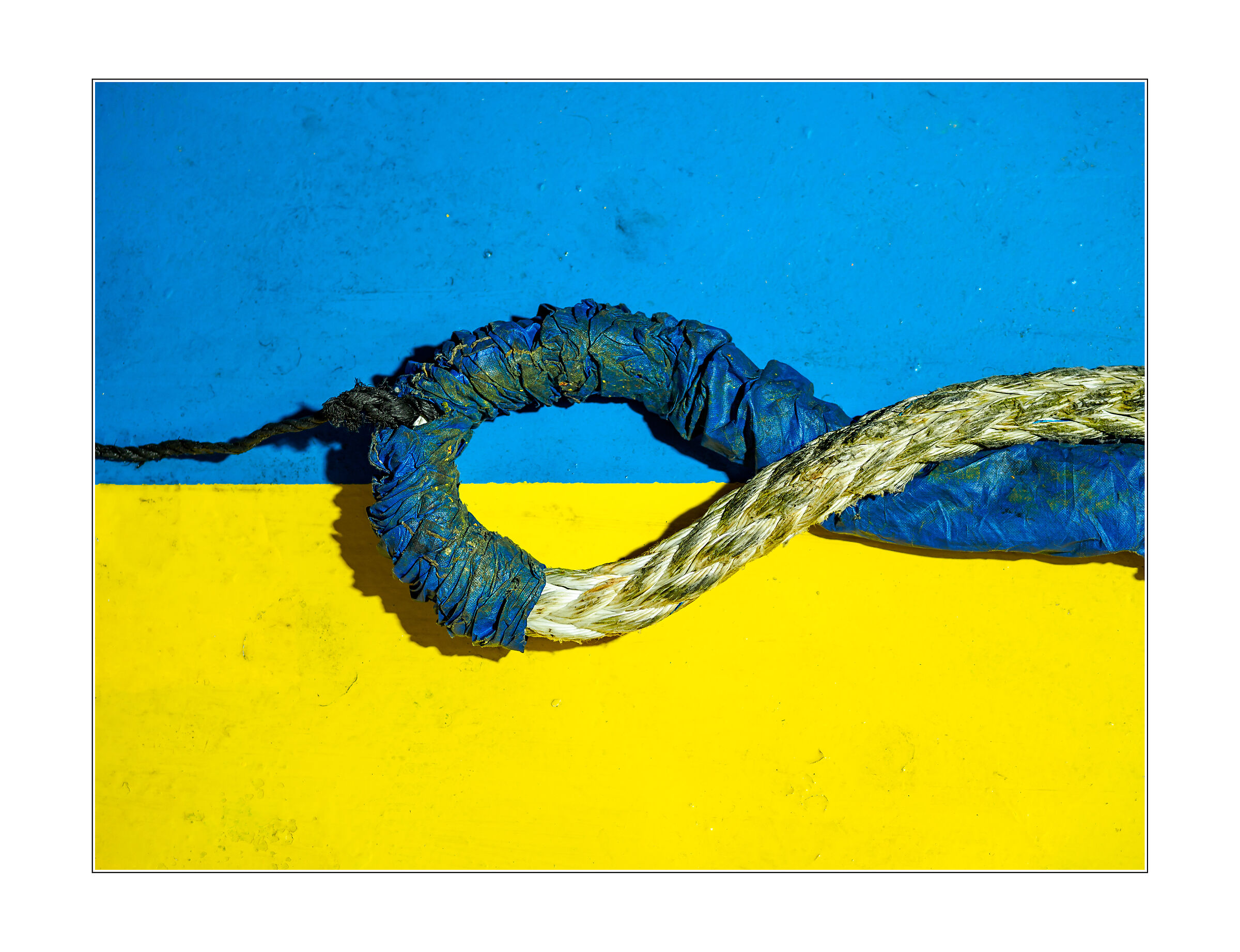 Ukraina: Terra e Libertà...