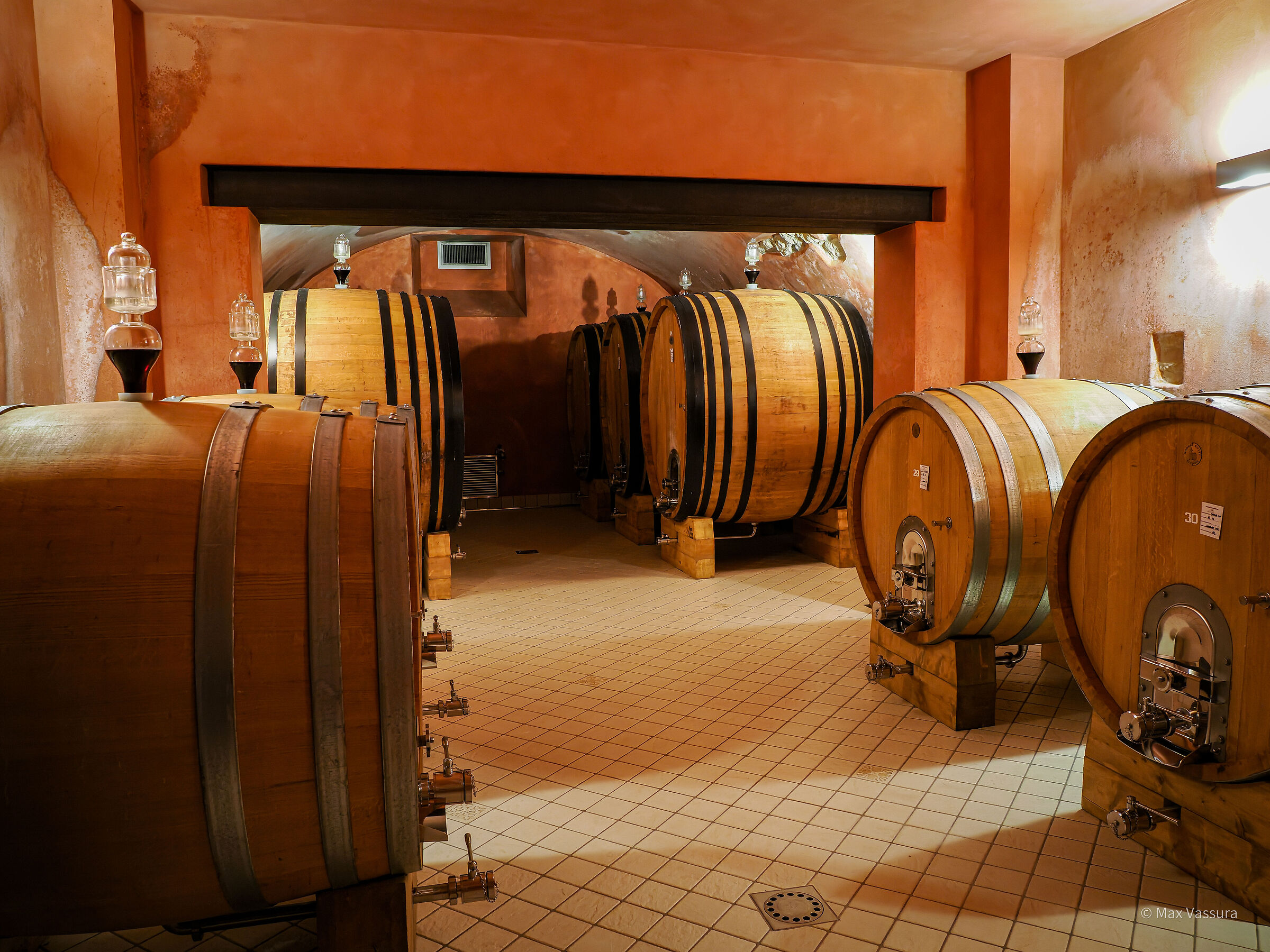 Winery Terre di Leone...