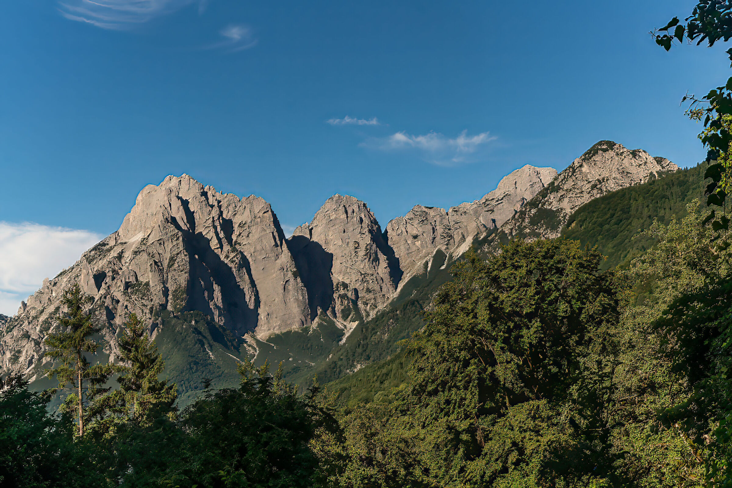 Carnic Alps-Sernio gauzaria group...