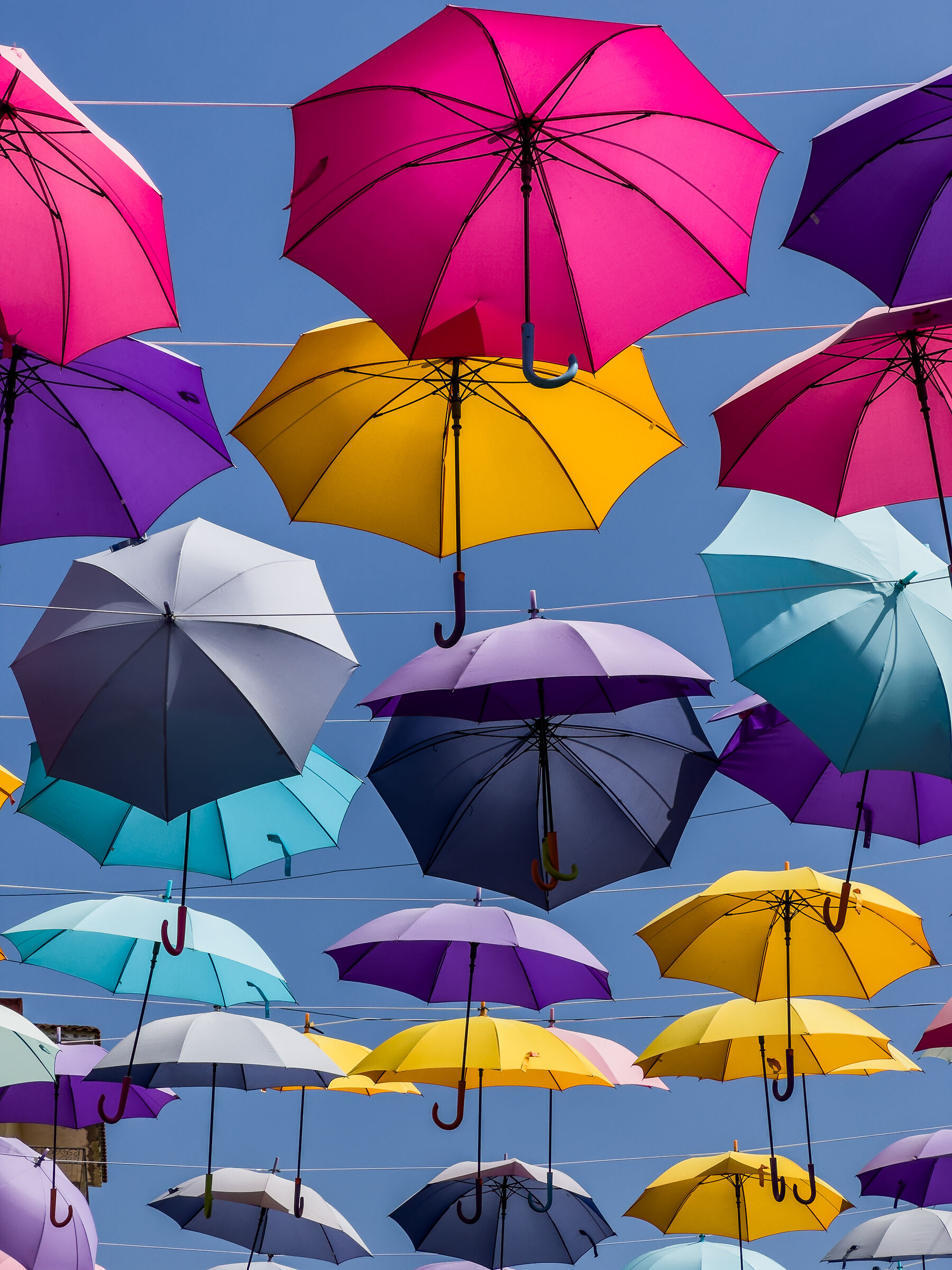 Danze aeree di ombrelli sospesi...