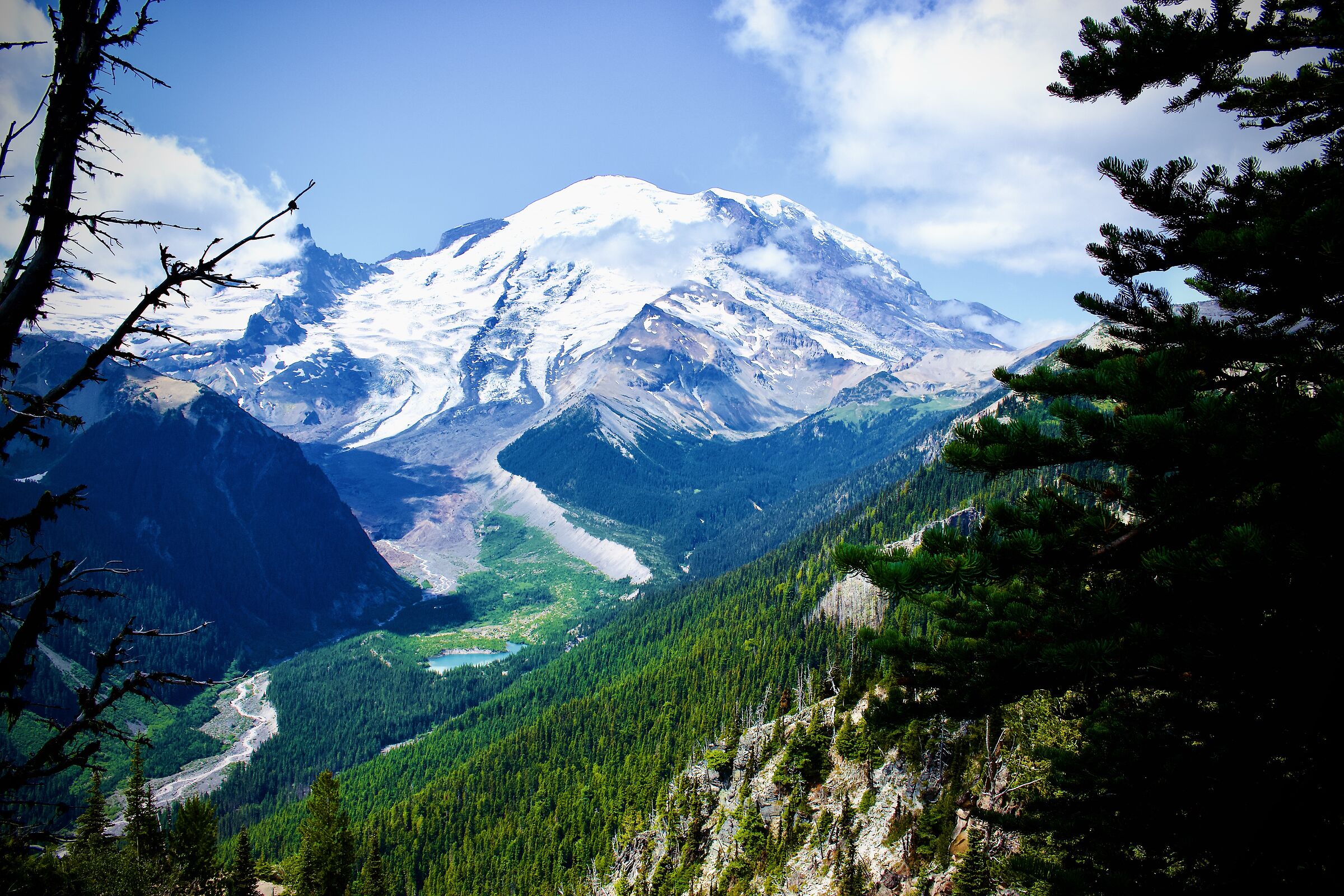Monte Rainier (Washington, Stati Uniti)...