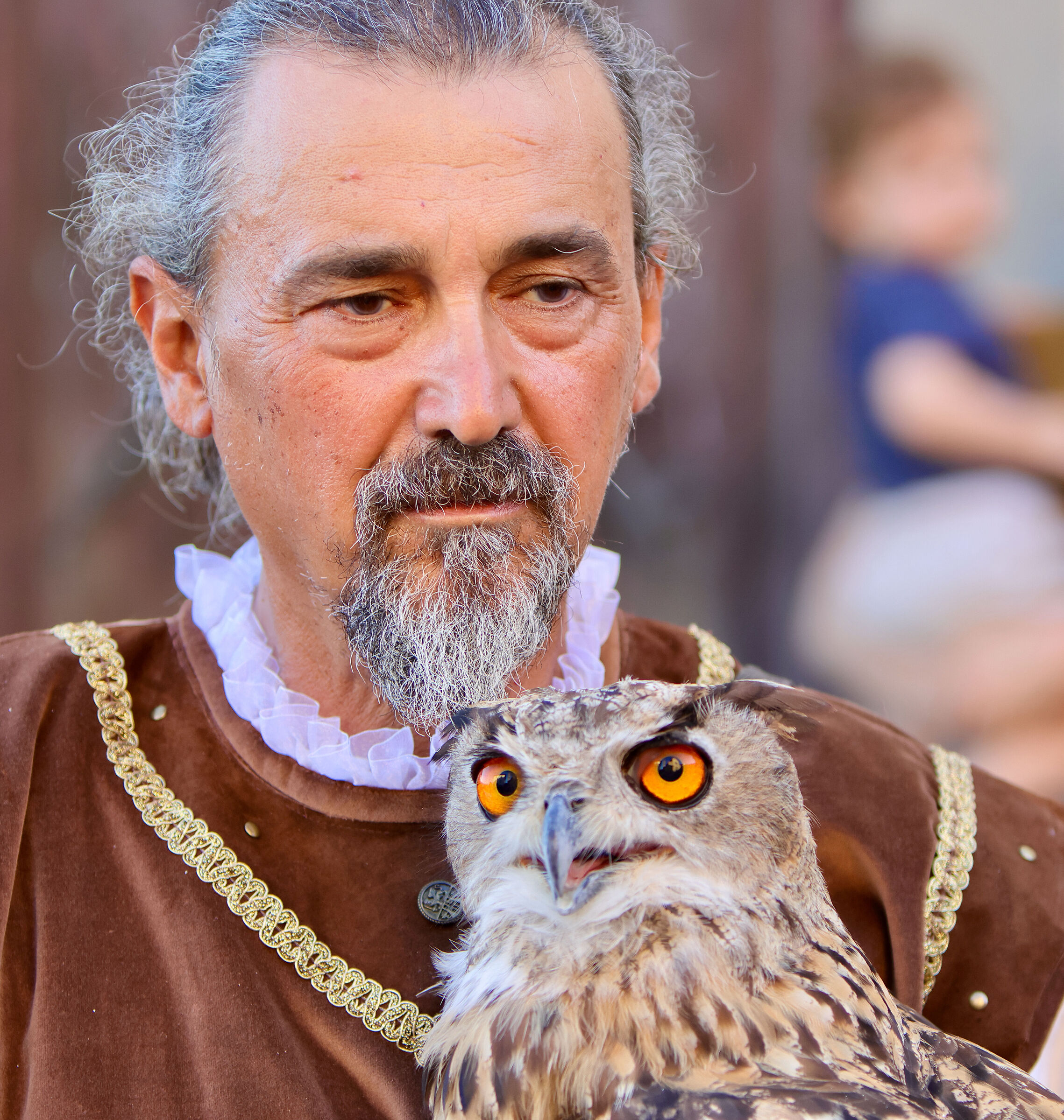Medieval Laterina the Falconers of Valdarno...