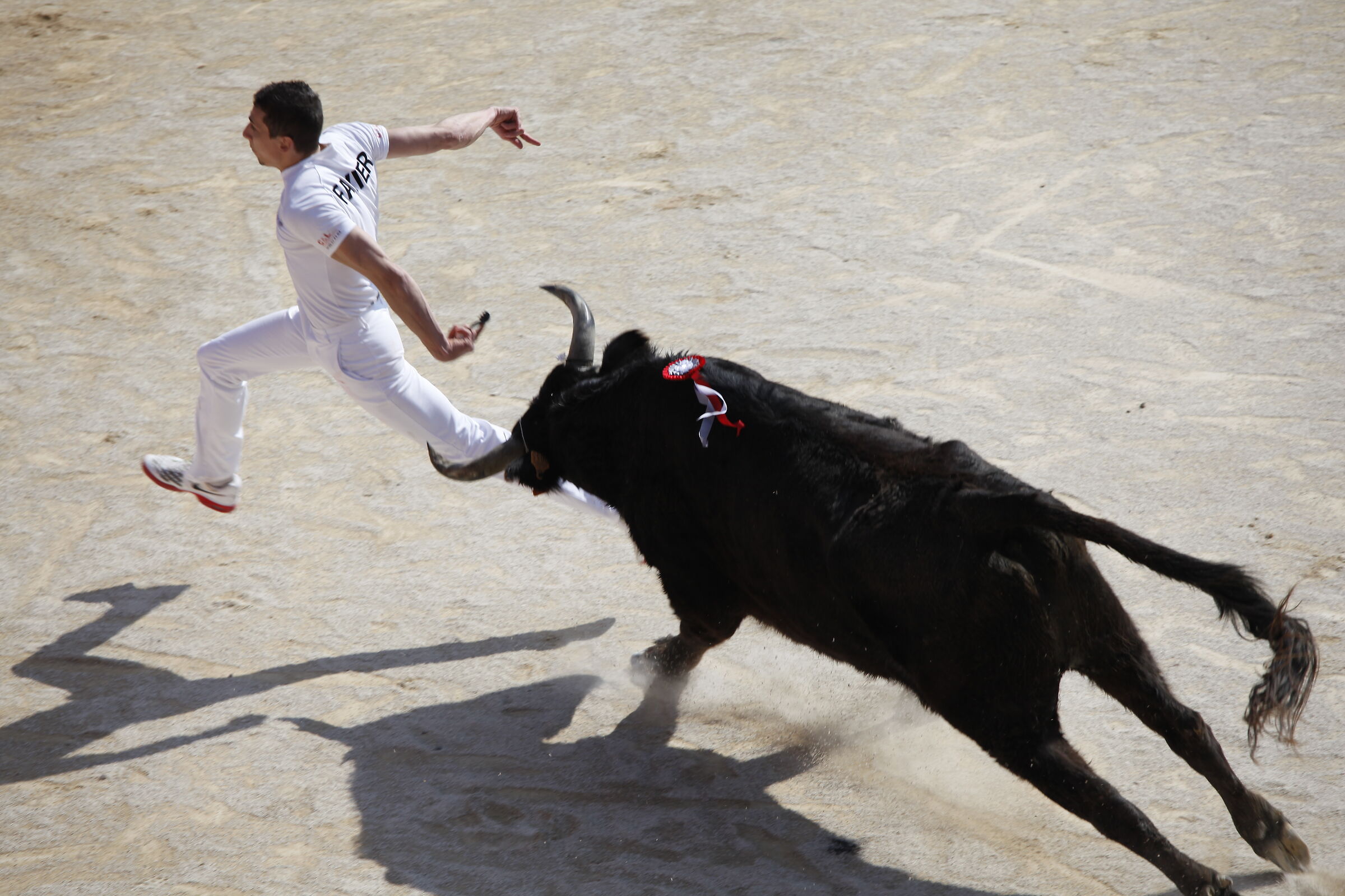 Courses Camarguaises in Arles ...