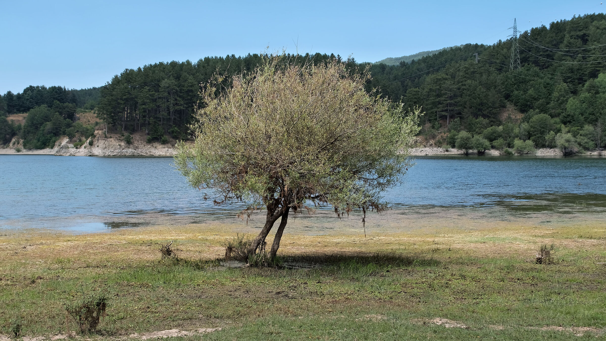 Lake Cecita...