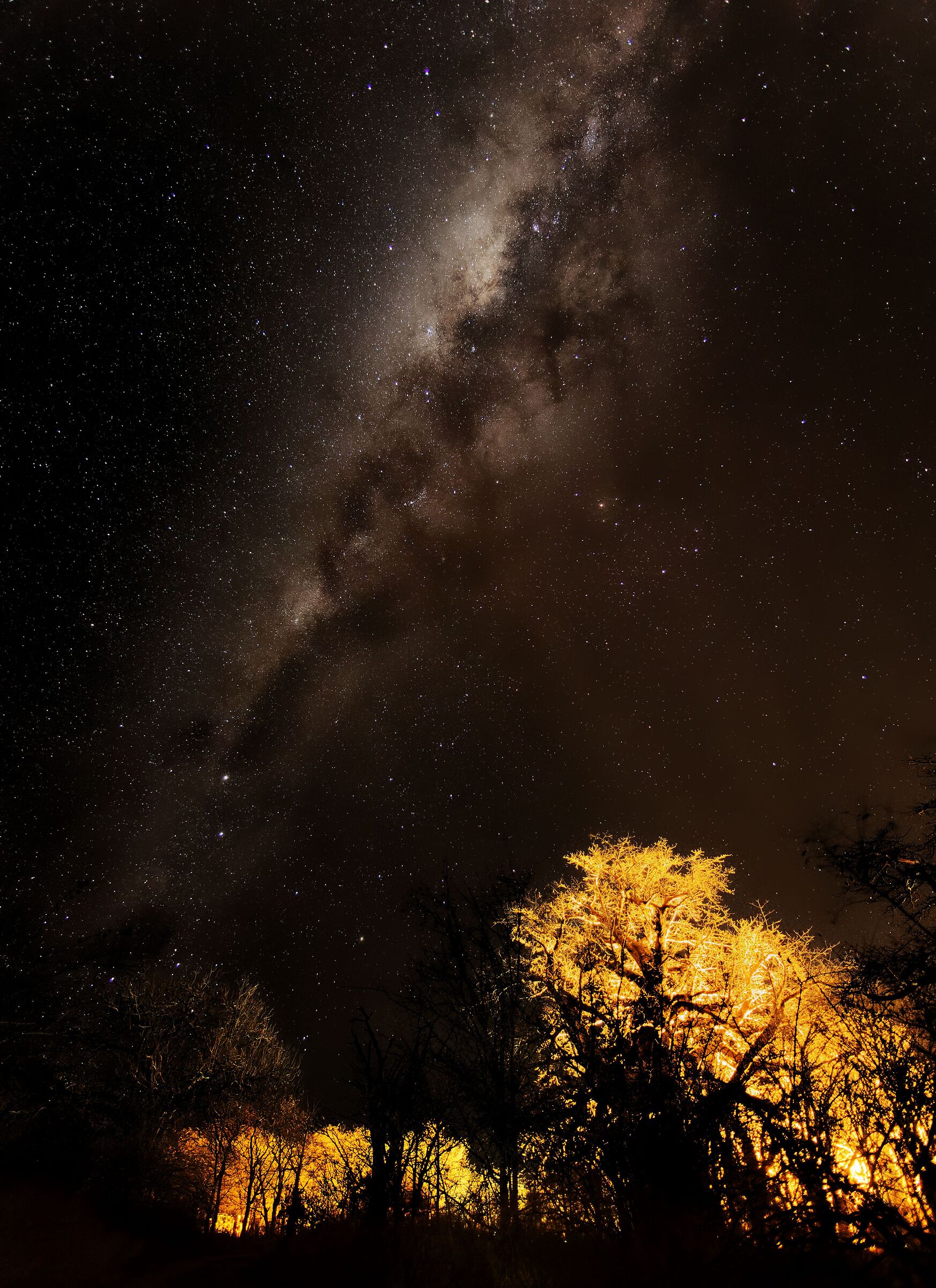 Milky Way on Botswana baobabs...