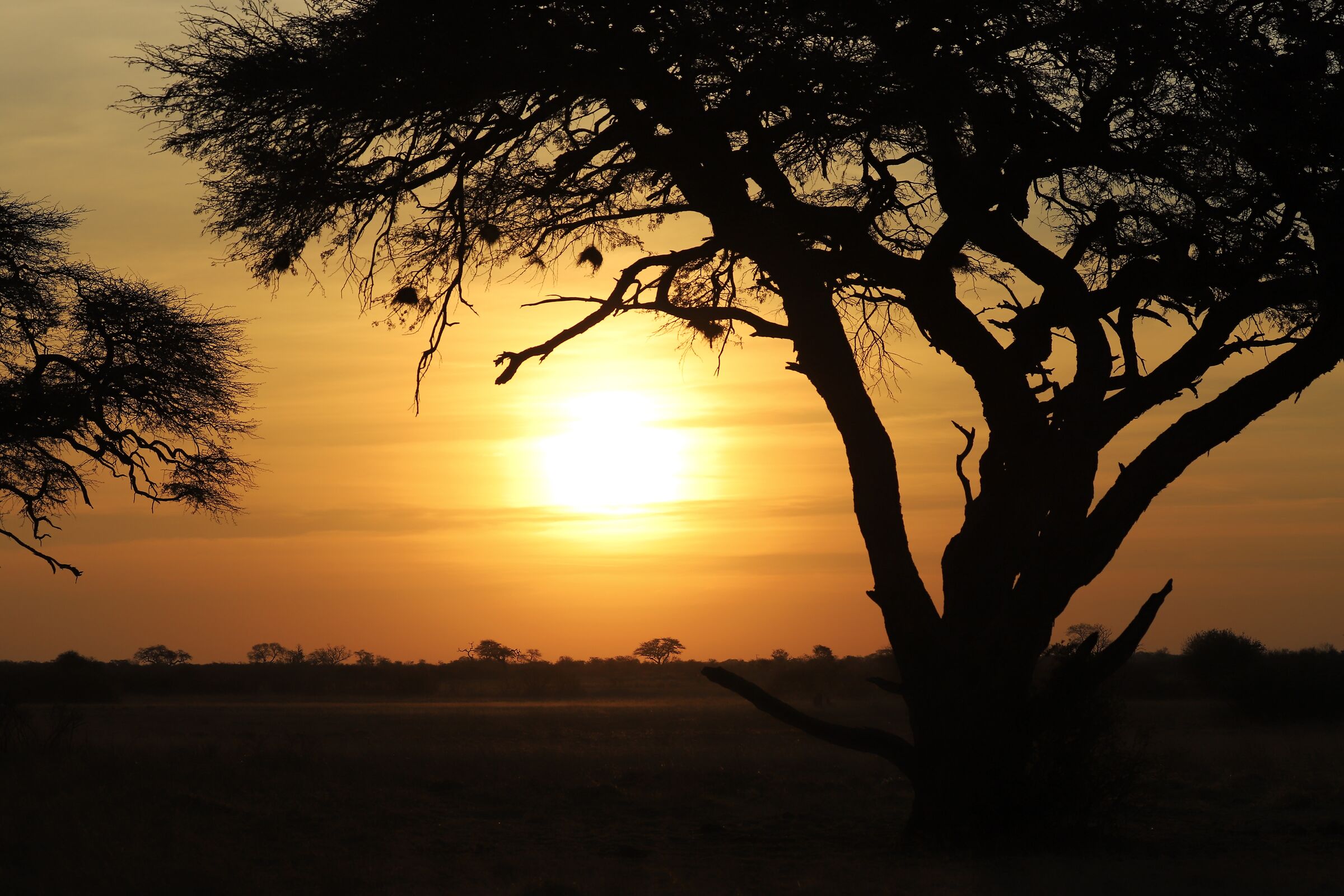 African sunset...