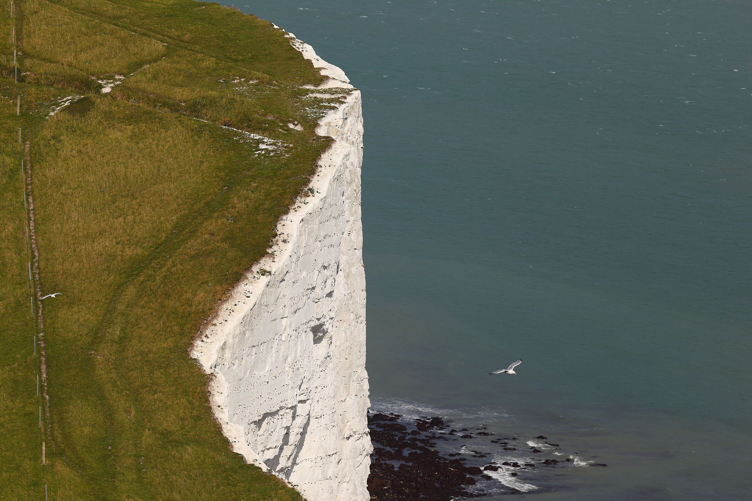 Cliffs of Dover...
