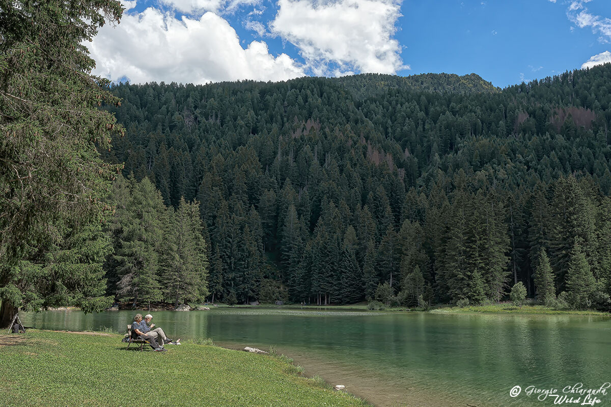 Enjoy relaxation (Lago dei Caprioli)...