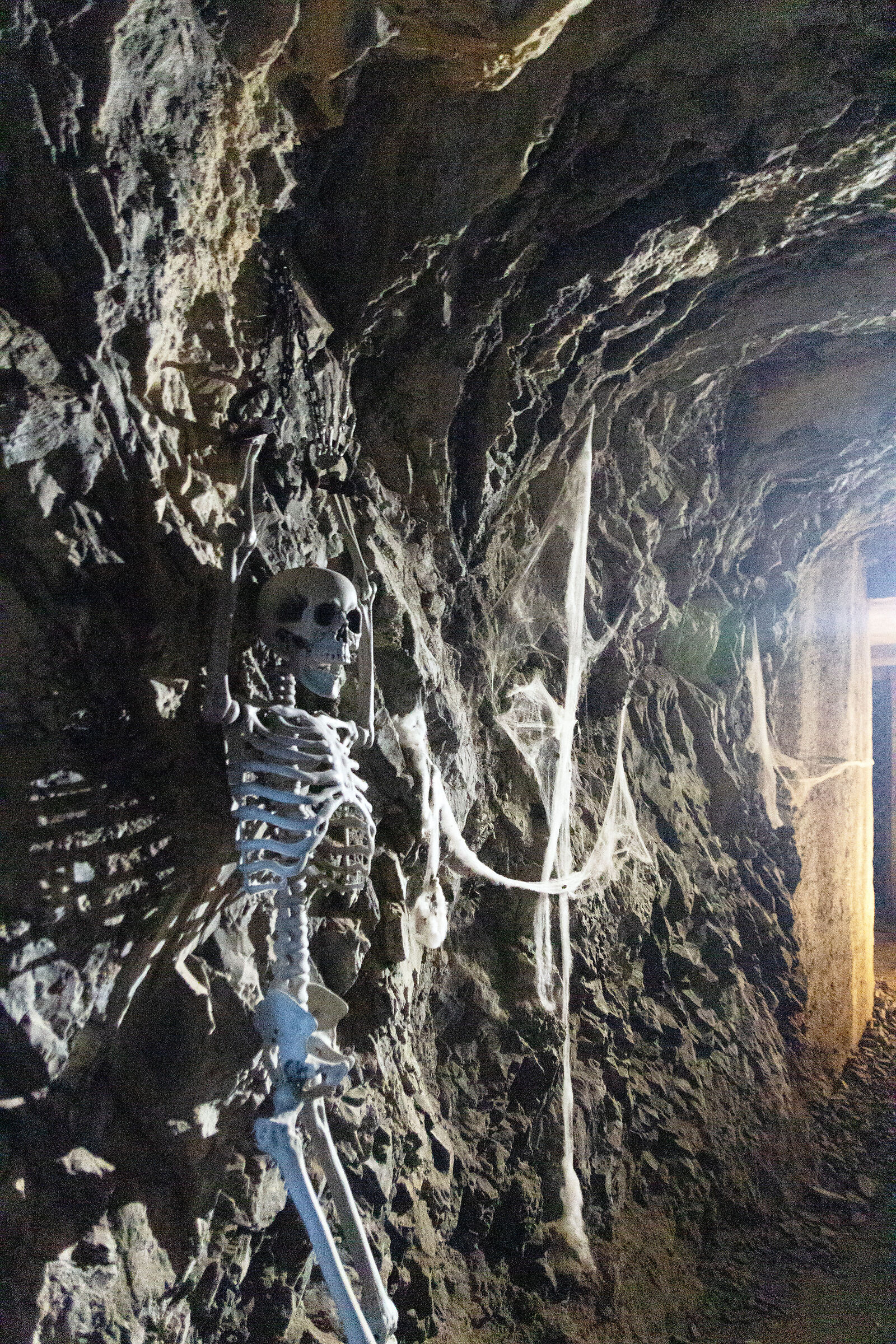 Skeleton in the dungeons of the castle...