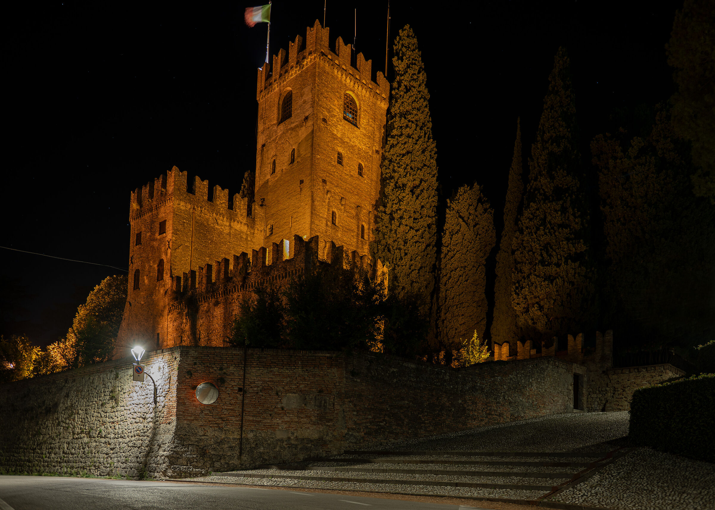 Castle of Conegliano...