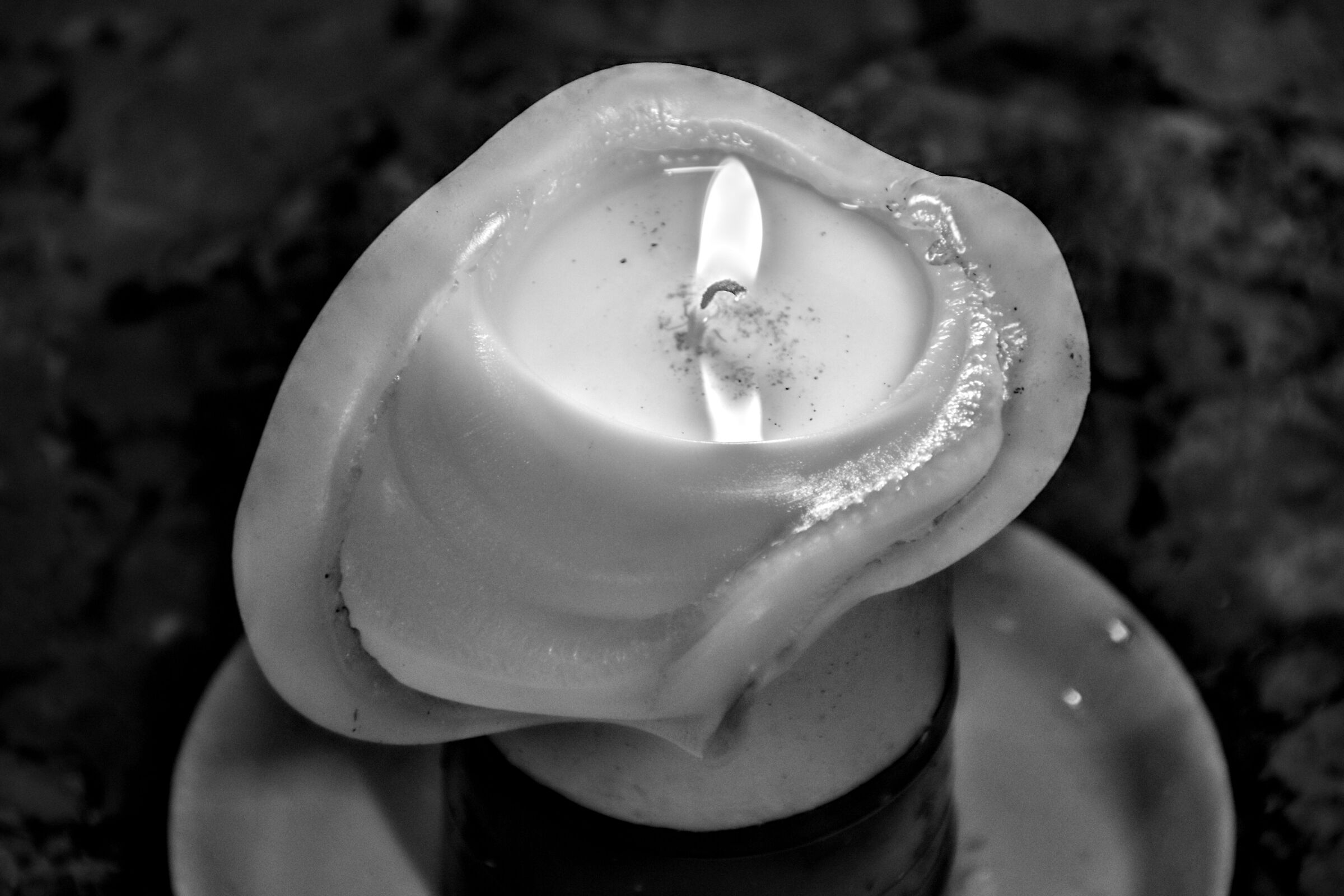 Petalous candle...