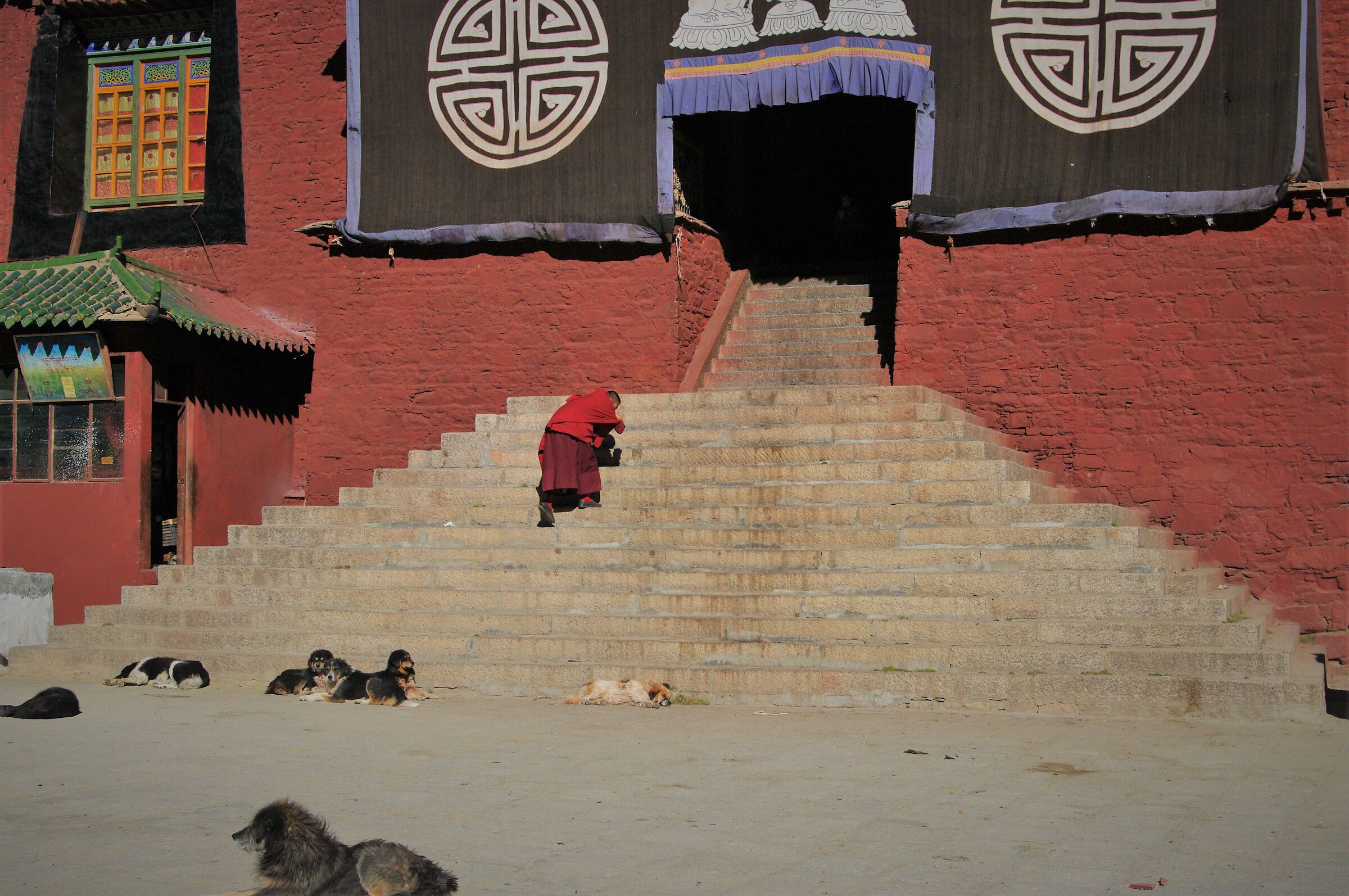Nel tempio Tibetano sono ammessi tutti...