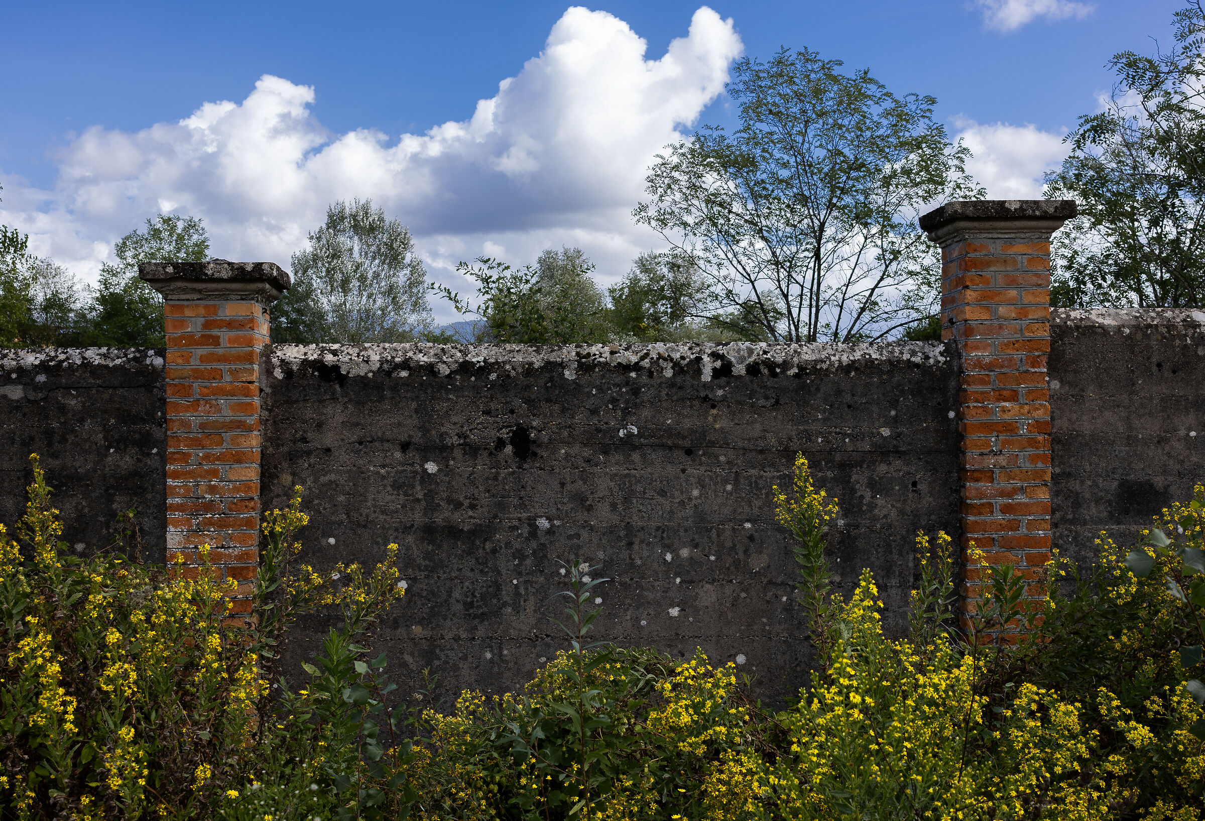 Abandoned railway wall ...