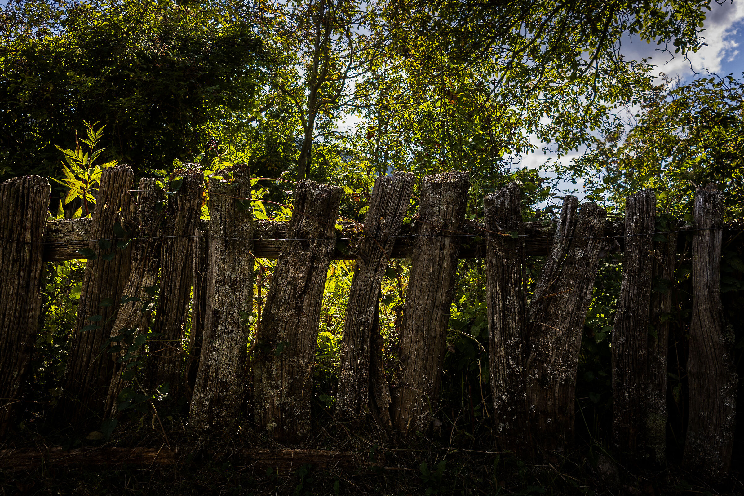 Ancient mountain fence ...