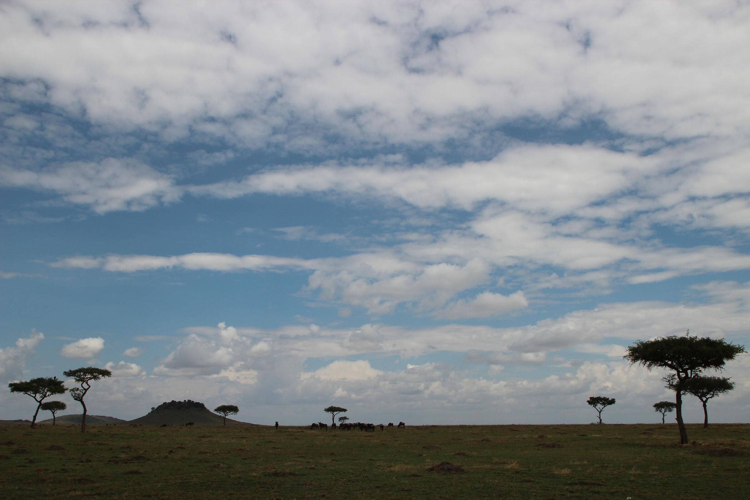 Masai Mara -Natural silence...