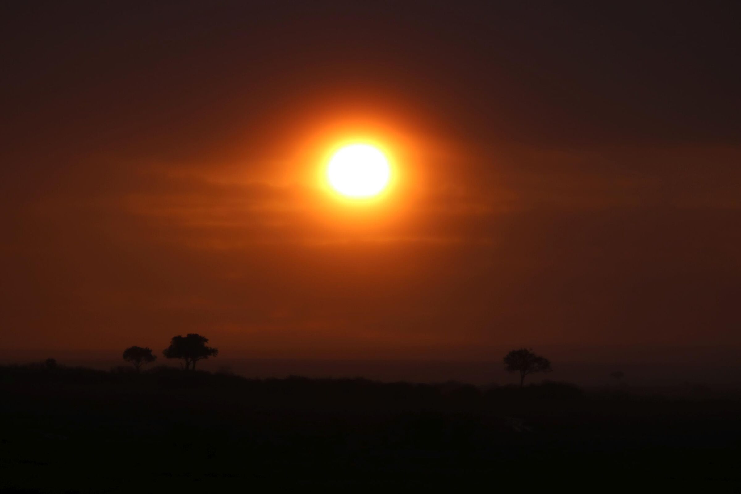 Masai Mara - Good night savannah...