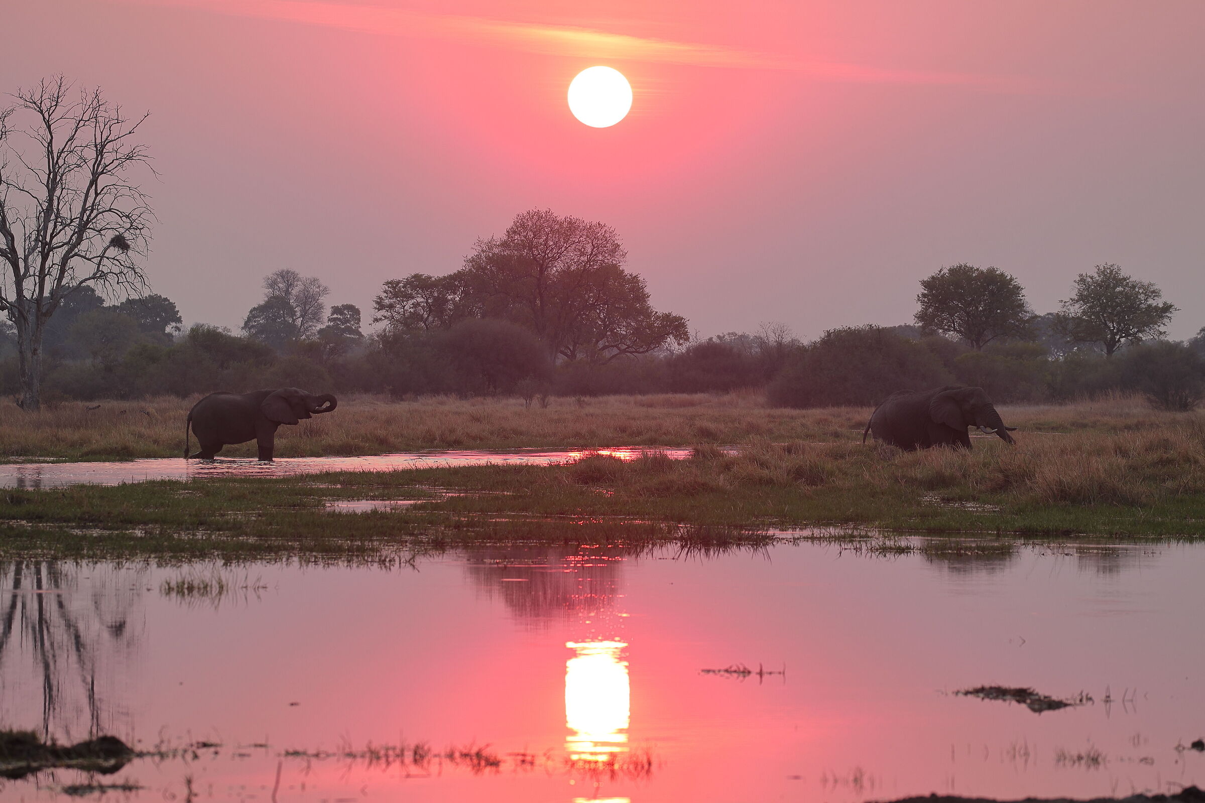 Botswana - African sunset...