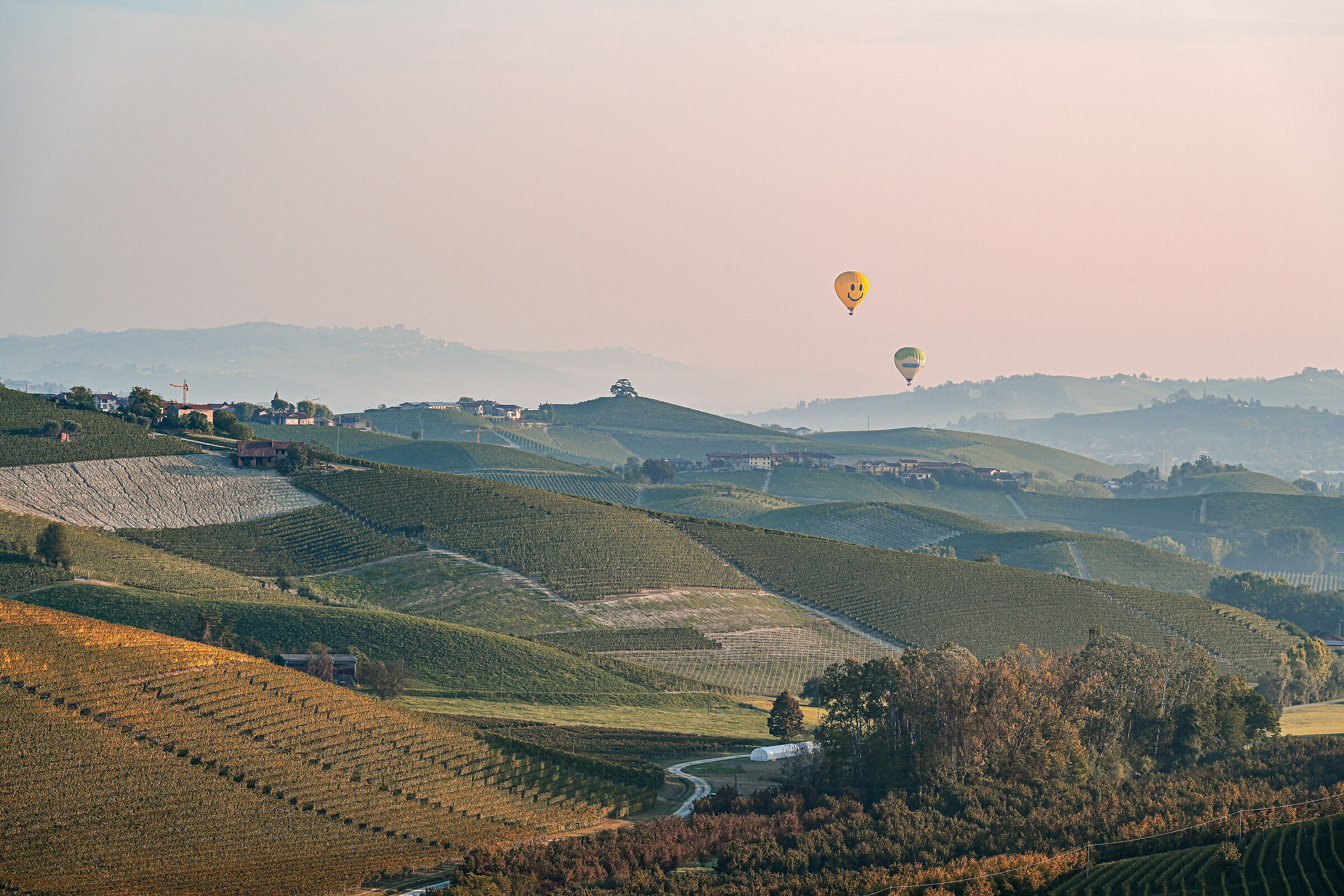 Hot air balloons in the Langhe...