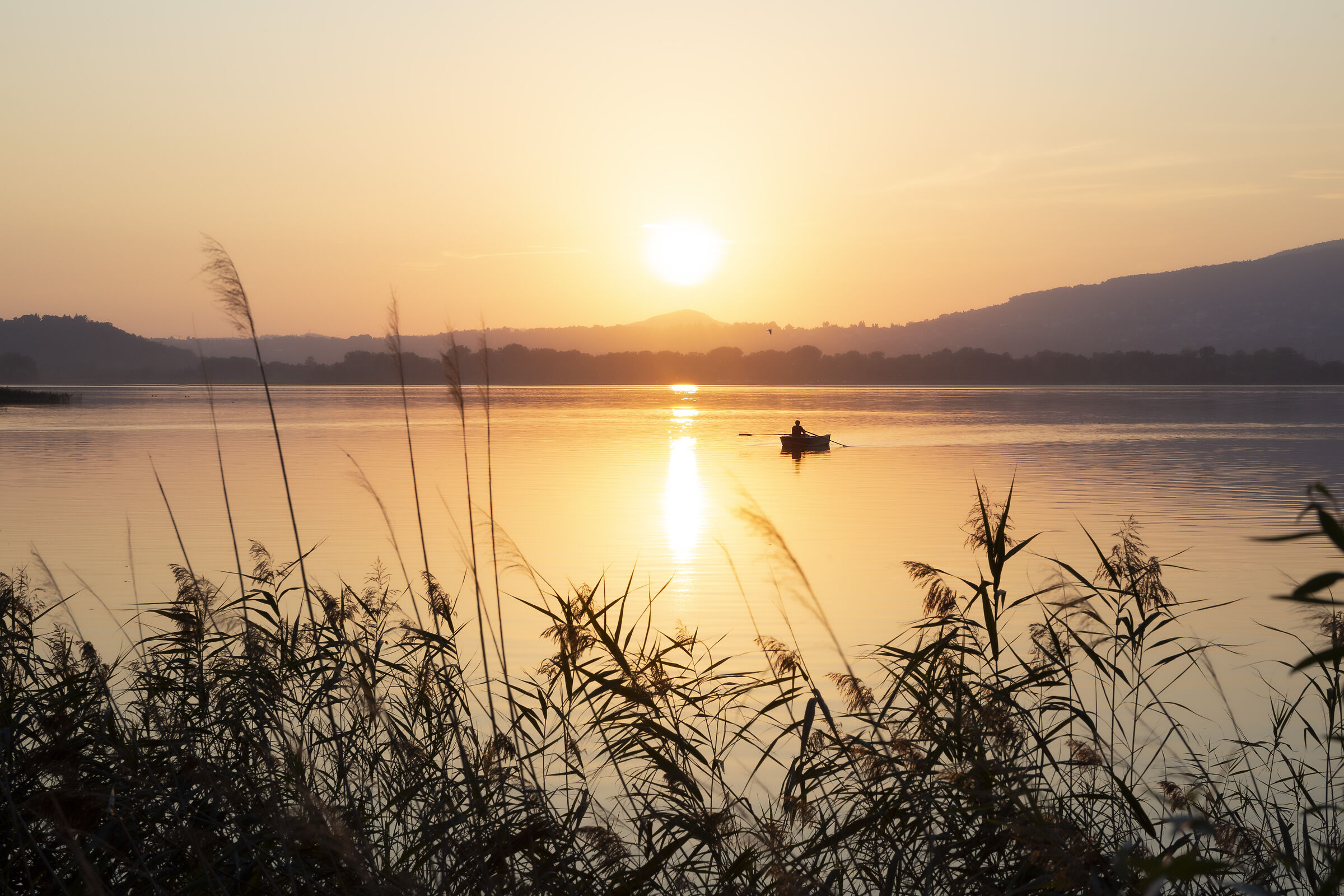 Lago di Pusiano , tramonto...