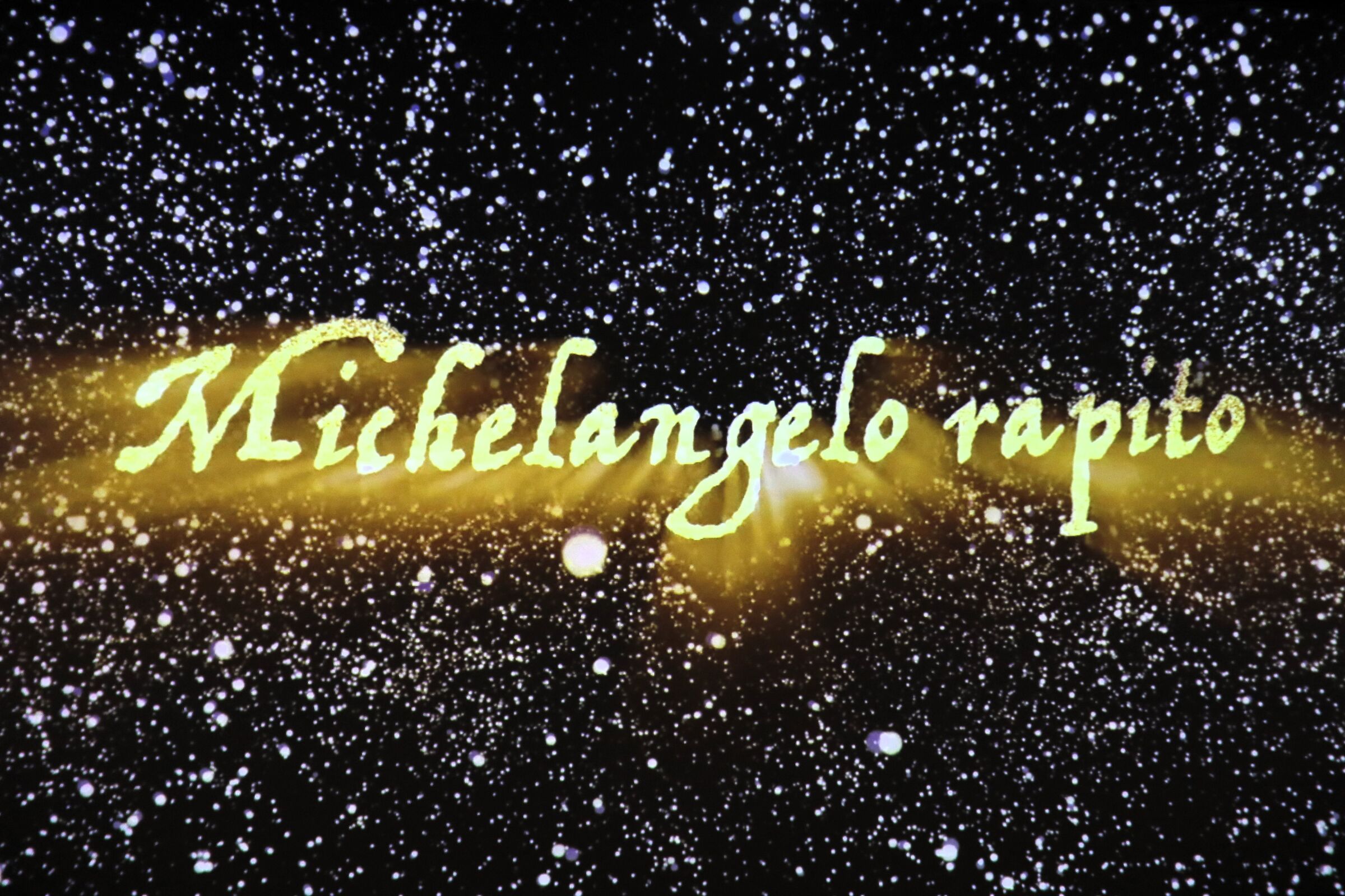 " Michelangelo rapito "...