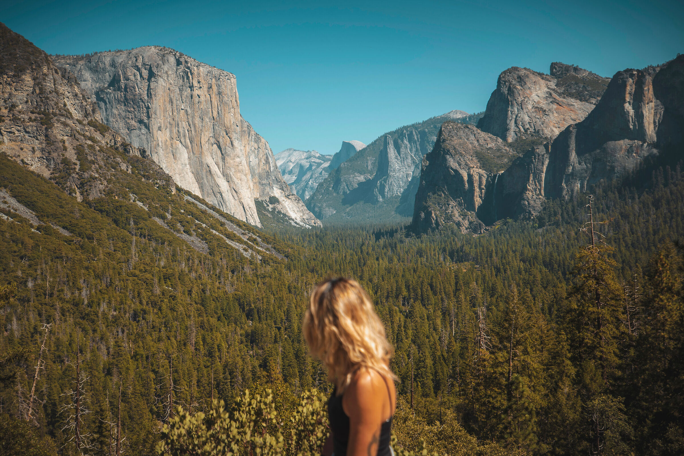 Yosemite - the view...