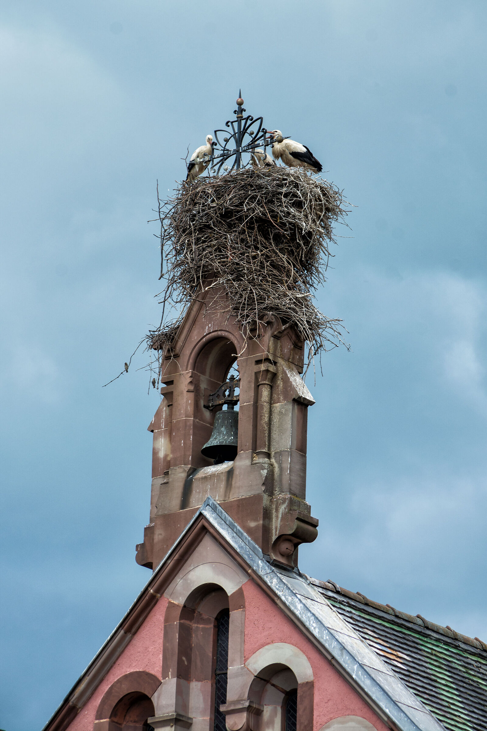 The storks' nest...