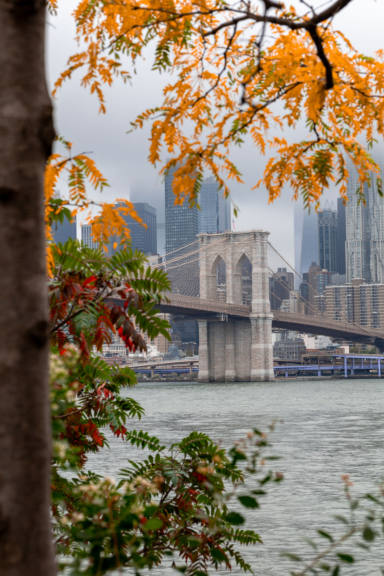 Fall with a view of Brooklyn...