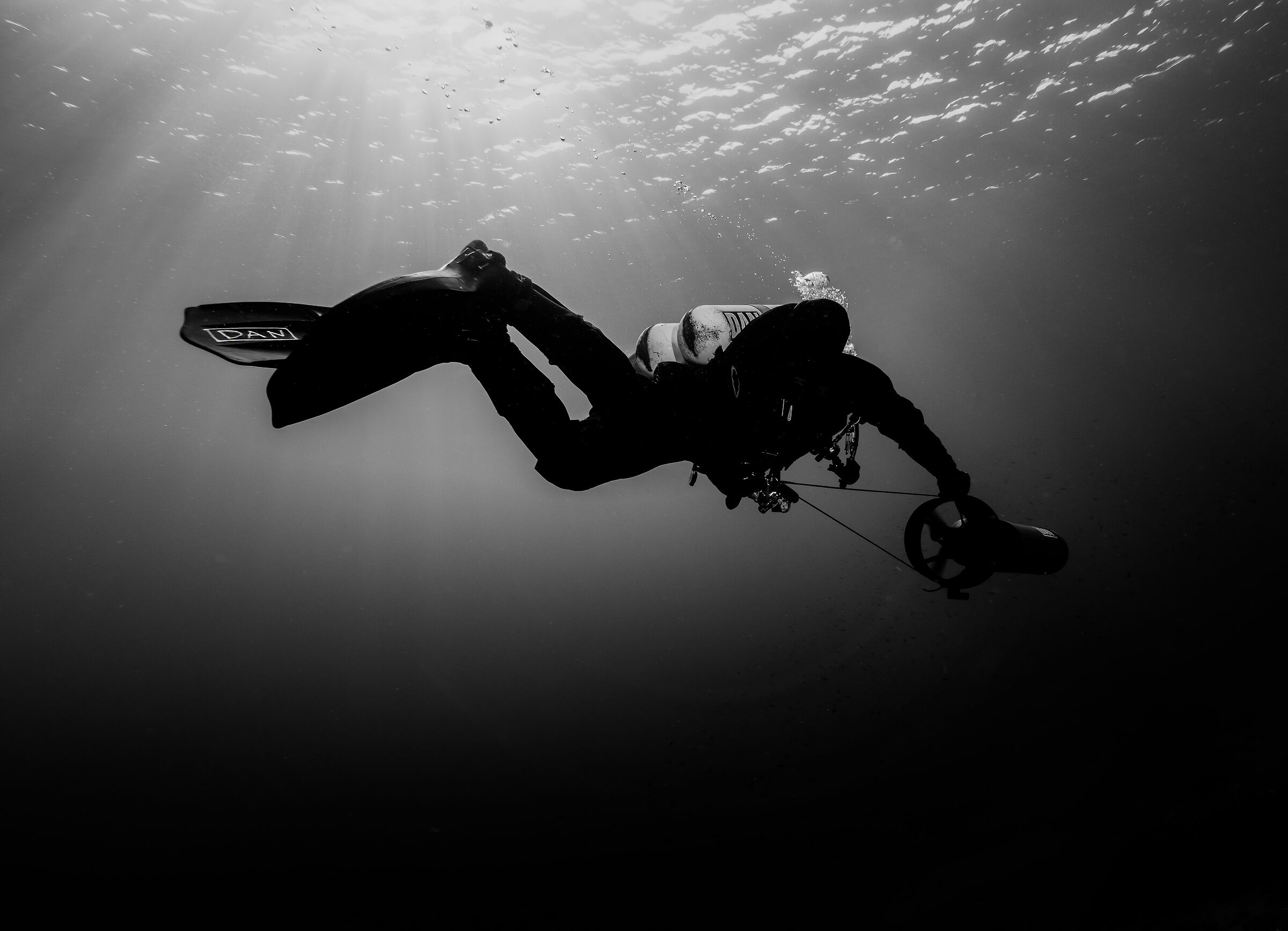 Black & White Diving ...