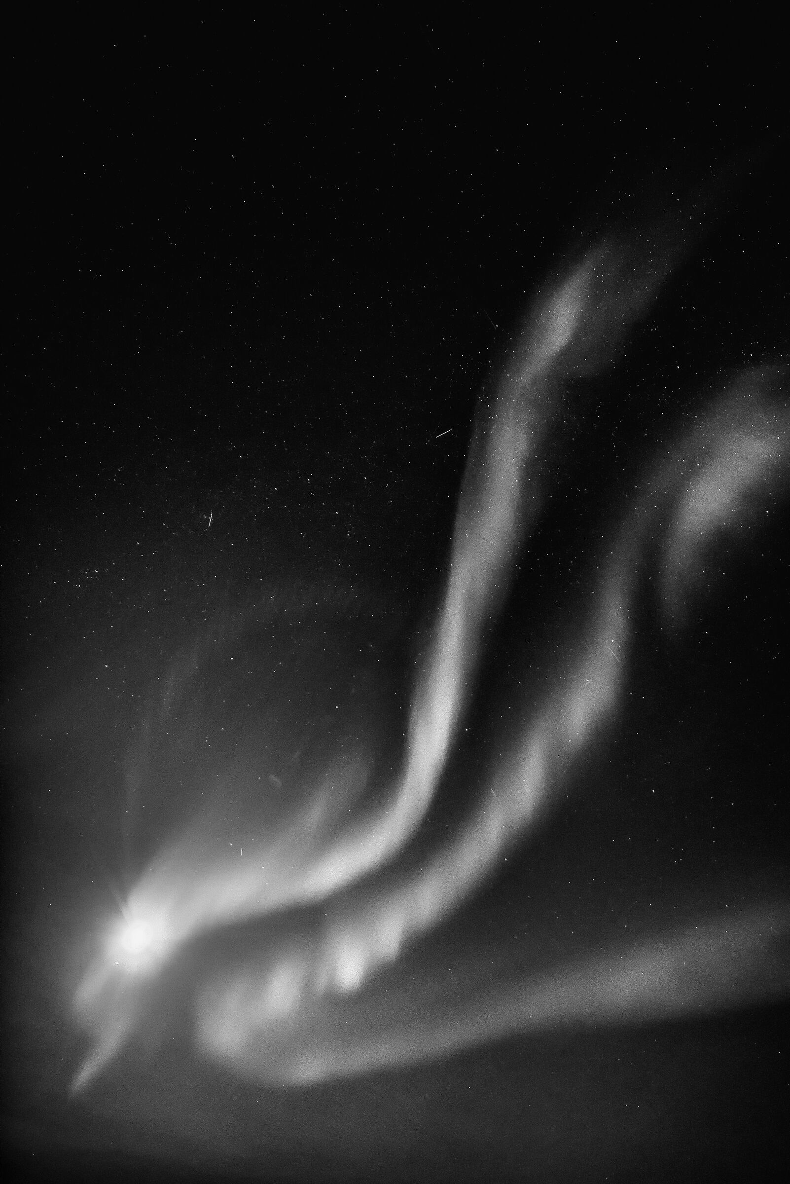 aurora in Ilulissat b/w...
