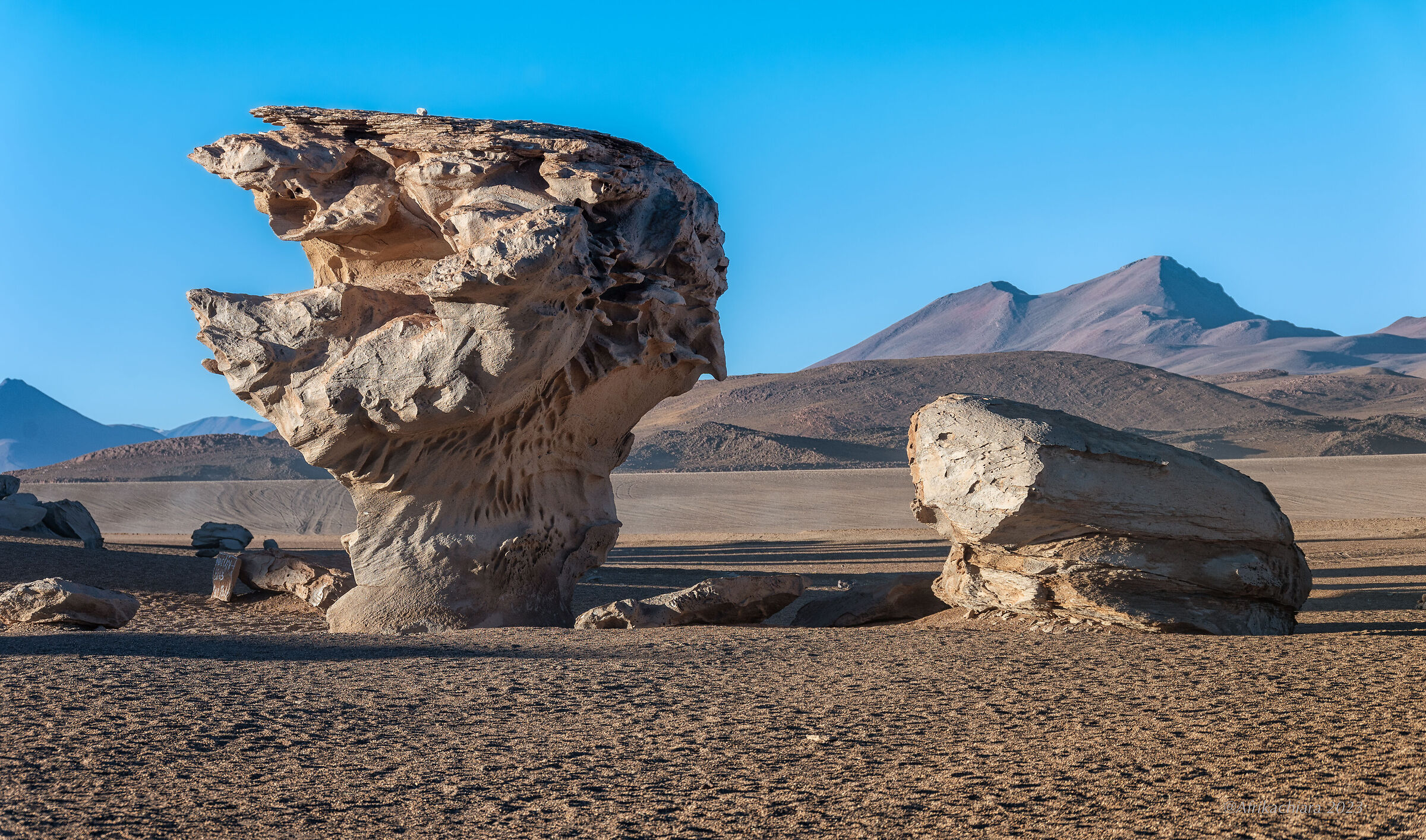 Siloli Desert "Arbol de Piedra"...